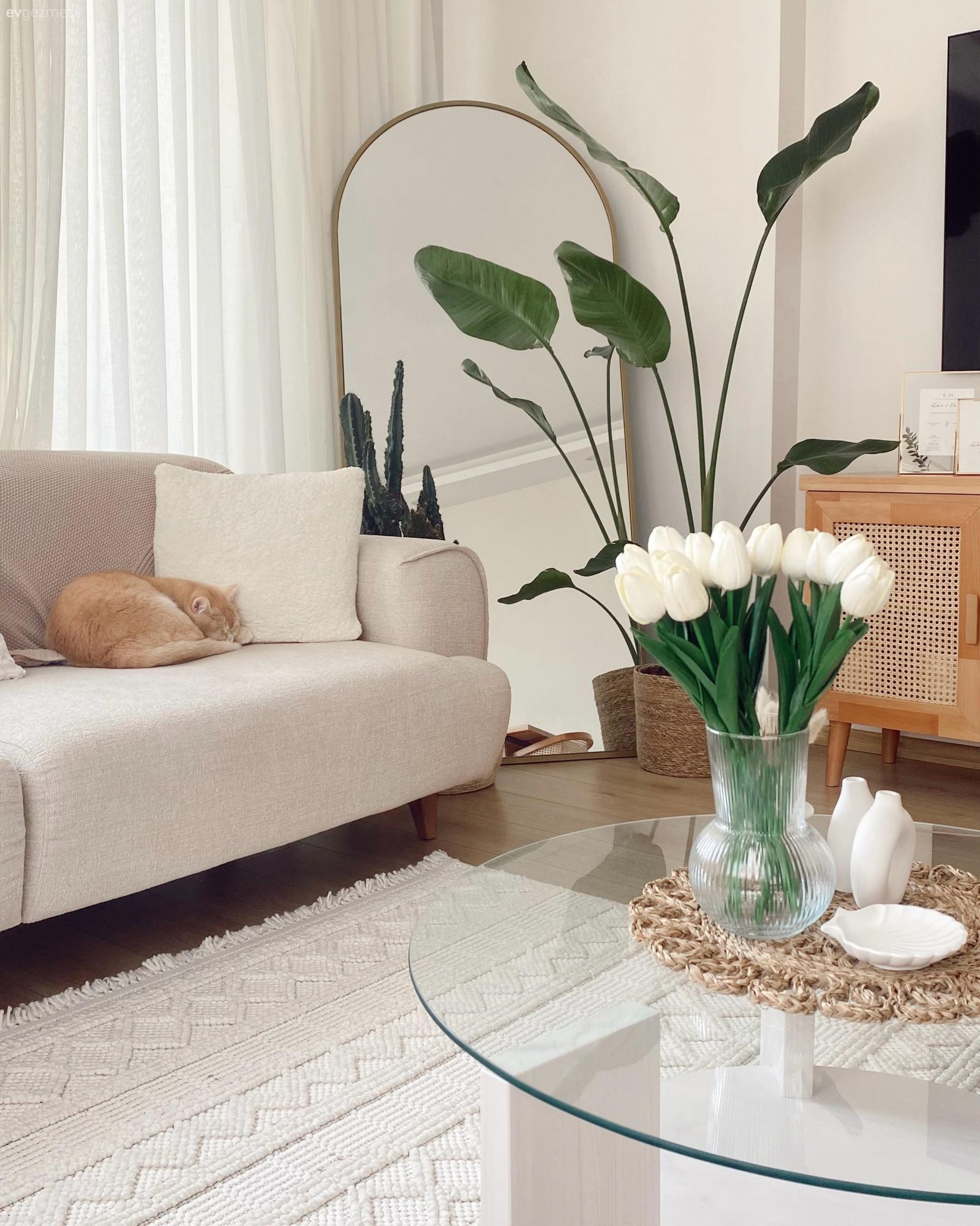 Bu Ferah Evde Renkler Açık Ortam Sıcak!