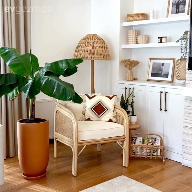 Beyaz, Krem, Tv ünitesi, Saksı, Berjer, Fon perde, Perde, Tül perde, Hasır, Halı, Parke