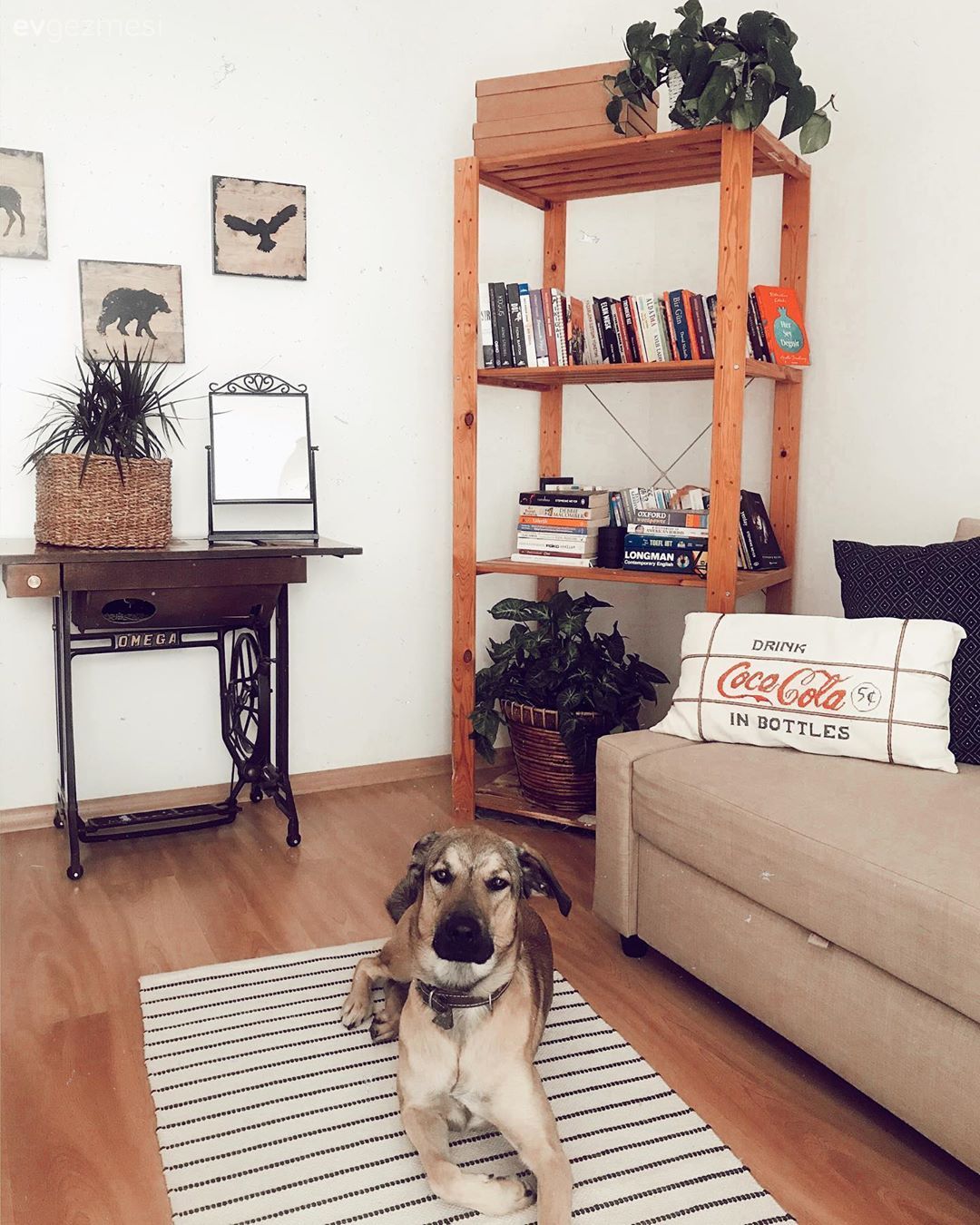 Vizon, Kilim, Halı, Çizgili desen, Desenler, Koltuk takımı, Kitaplık, Kırlent, Ev tekstili, Hasır sepet, Ev bitkisi