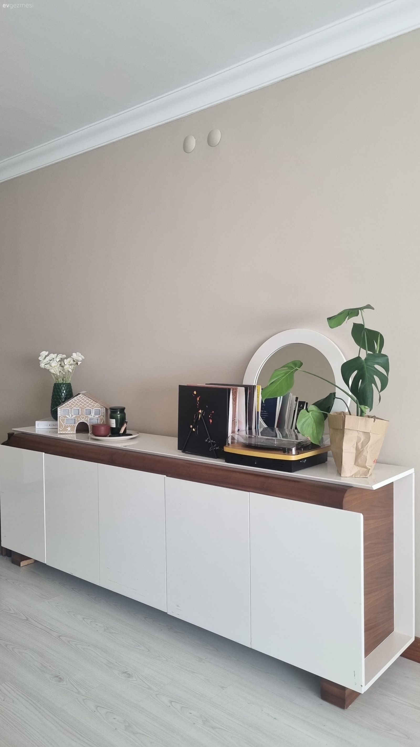 Bu Ankara Evinde Bitkiler Fazlaca Söz Sahibi