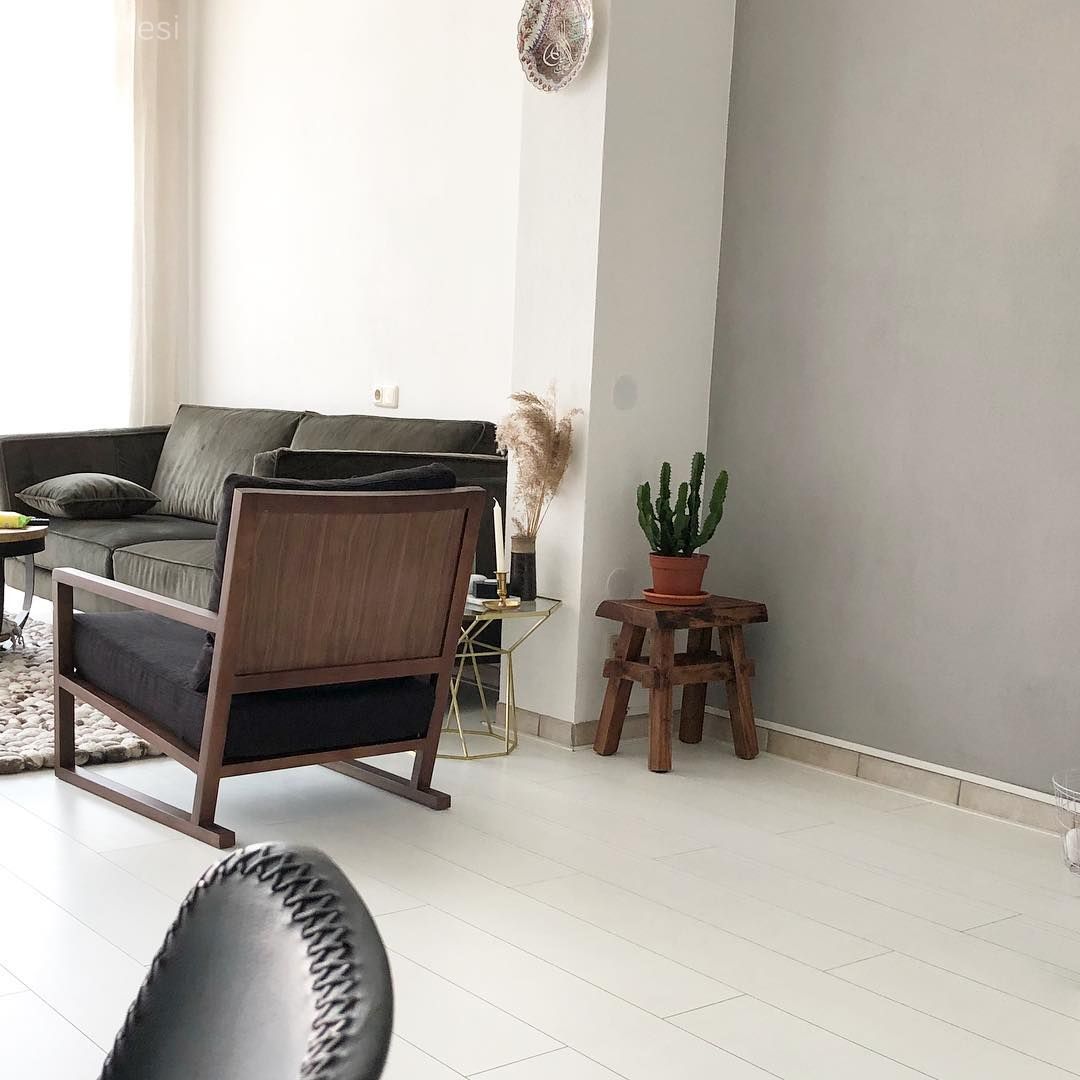 Salon, Yeşil, Antrasit  , Berjer, Salon halısı, Halı, Kırlent, Ev tekstili, Yan sehpa, Sehpa, Ev bitkisi