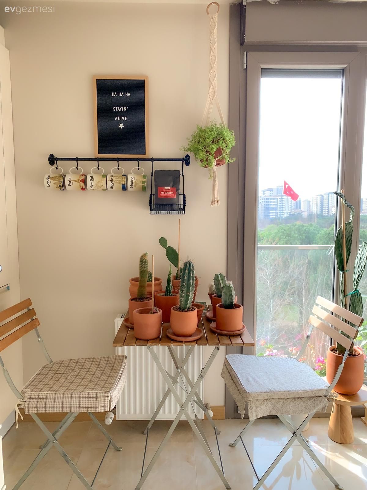 Mutfak masası, Sandalye, Ev bitkisi, Duvar rafı, Duvar dekorasyonu, Mutfak duvar dekorasyonu, Beyaz, Kahverengi