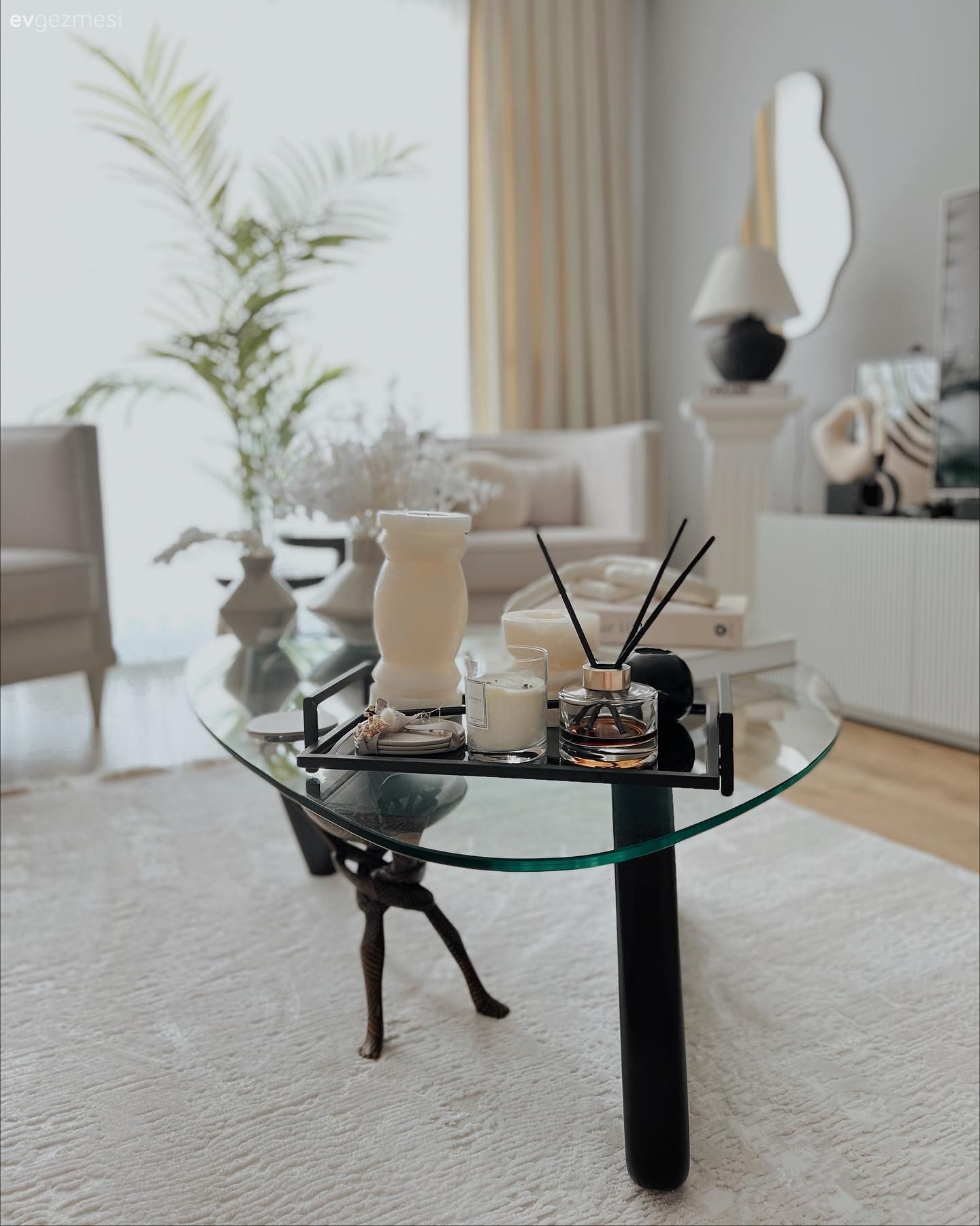 Salon, Krem, Bej, Beyaz, Tv ünitesi, Tv ünitesi aksesuarları, Ev Aksesuar, Tül perde, Perde, Berjer, Ev bitkisi, Halı, Salon halısı, Orta sehpa, Sehpa, Kırlent, Ev tekstili, Dekoratif Objeler, Cam orta sehpa