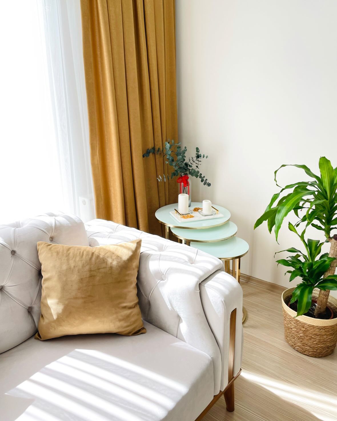 Hardal, Beyaz, Koltuk takımı, Yan sehpa, Sehpa, Ev bitkisi, Saksı