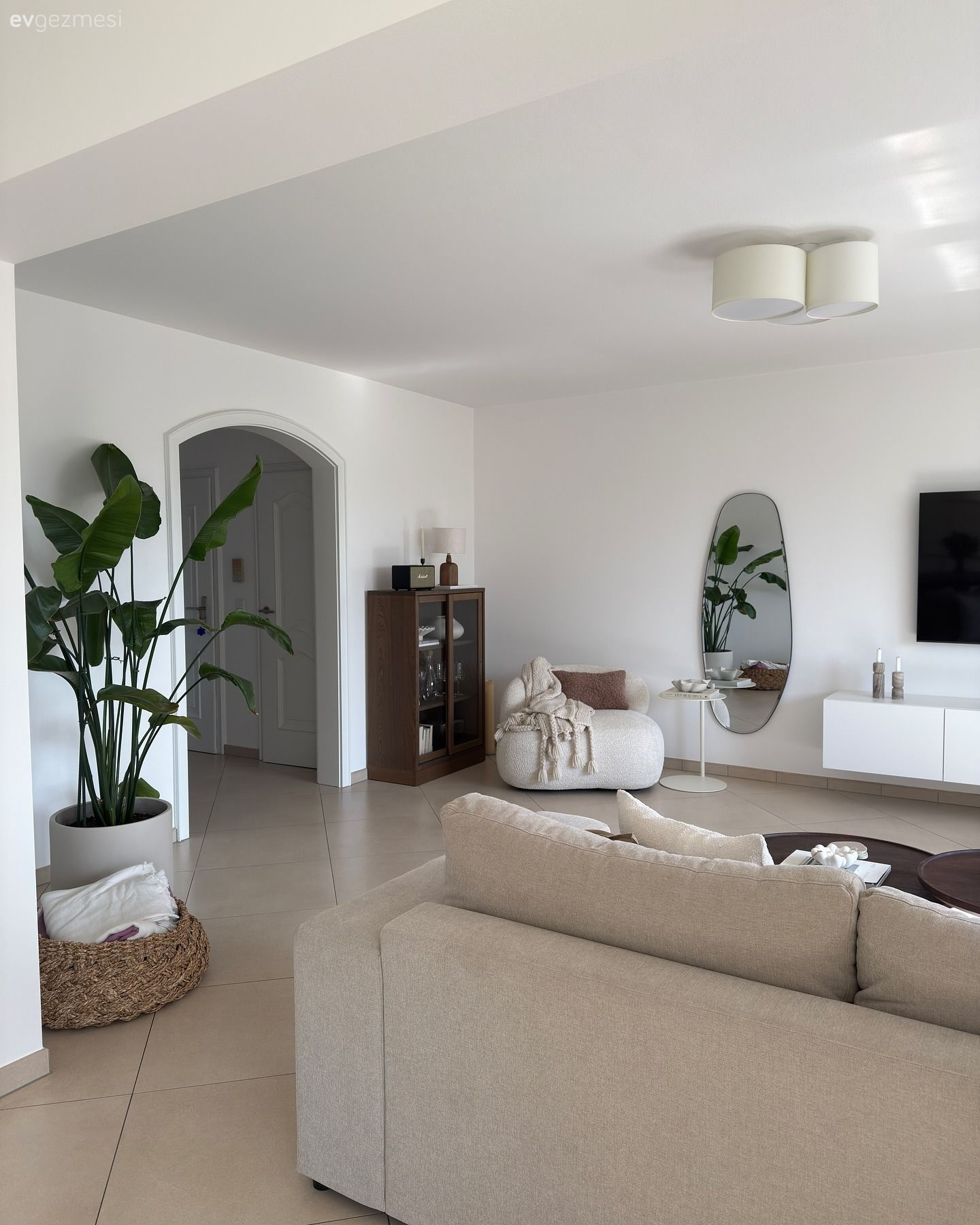 Ev Bitkileri Rehberi: Hangi Bitki Hangi Odaya Uygun?