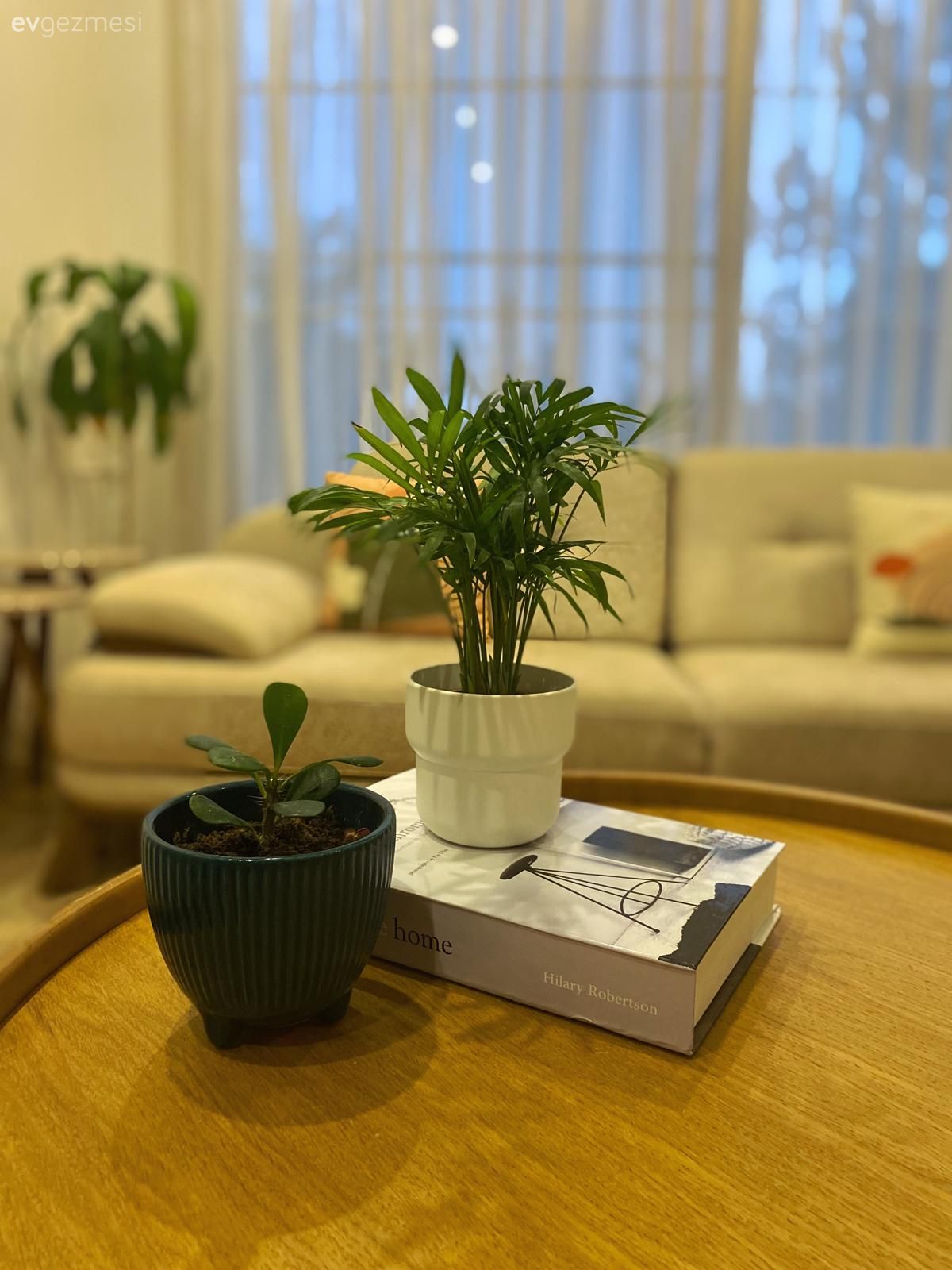 Tül perde, Perde, Koltuk takımı, Ev bitkisi, Orta sehpa, Sehpa, Dekoratif Objeler, Kırlent, Ev tekstili