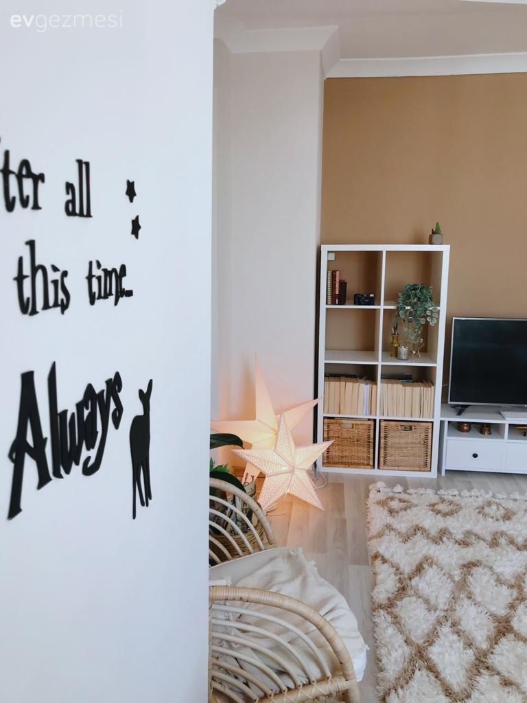 Duvar dekorasyonu, Kitaplık, Beyaz, Krem, Bej