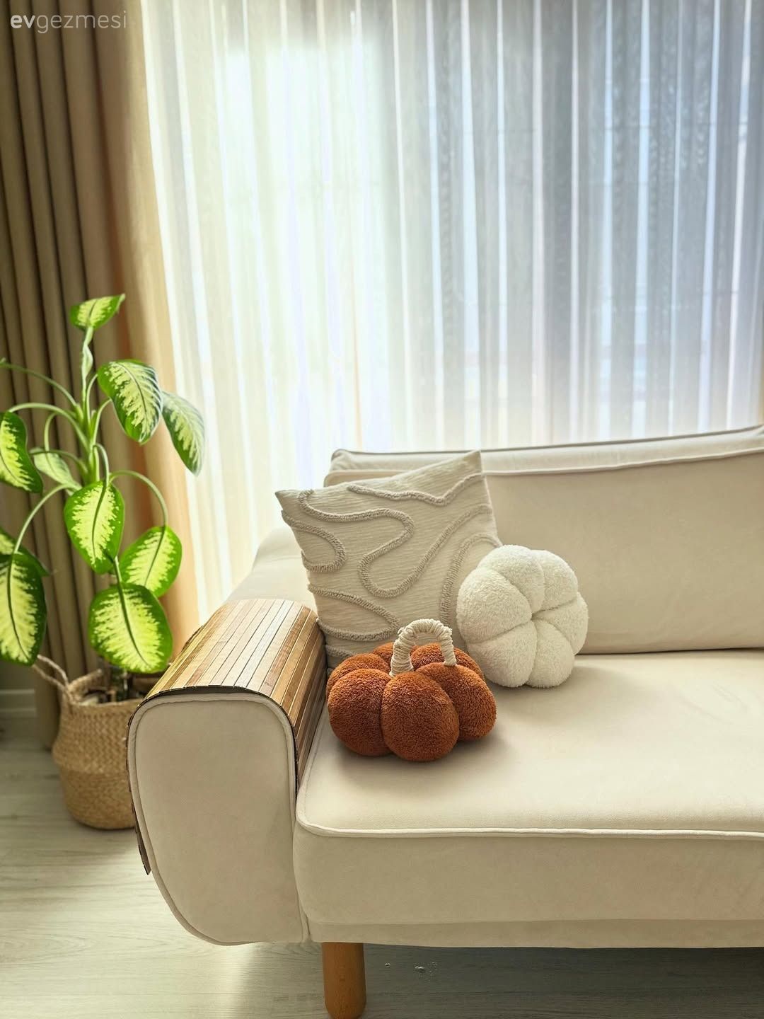 Fon perde, Perde, Tül perde, Koltuk takımı, Ev bitkisi, Kırlent, Ev tekstili