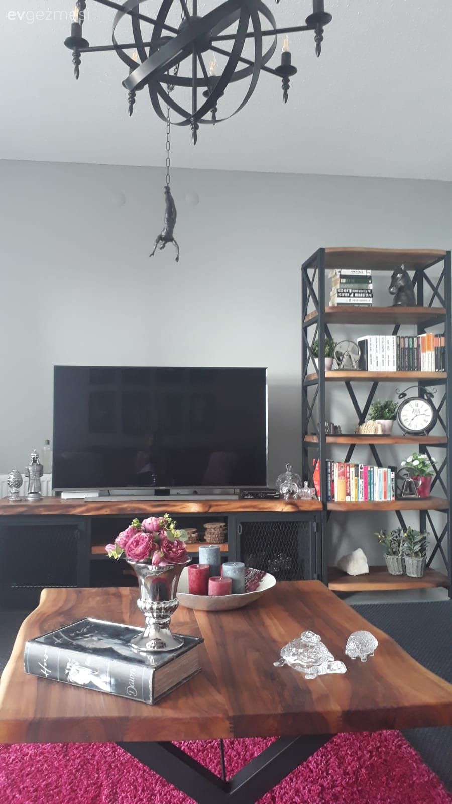 Kendine Özgü Bu  Ankara Evi, Doğayı Vahşi Haliyle Seviyor