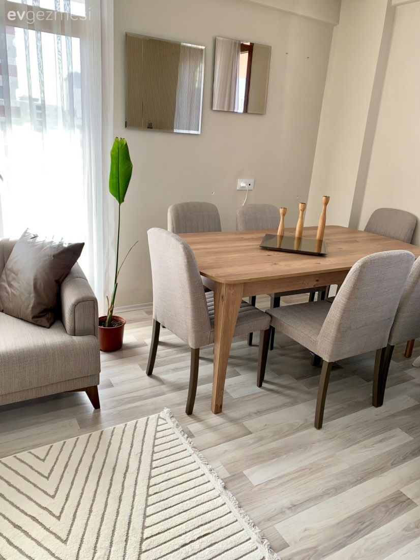 Vizon, Krem, Beyaz, Bej, Sandalye, Yemek masası, Ahşap masa, Saksı