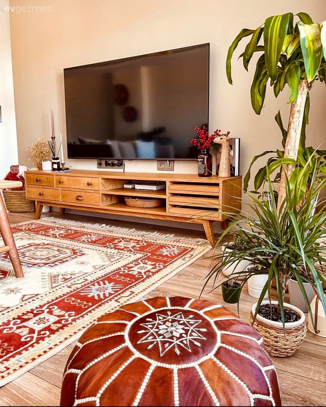 Ahşap Mobilya, Krem, Turuncu, Yanık turuncu, Tv ünitesi, Tv ünitesi aksesuarları, Ev Aksesuar, Halı, Salon halısı, Ev bitkisi, Kilim, Saksı, Orta sehpa, Sehpa