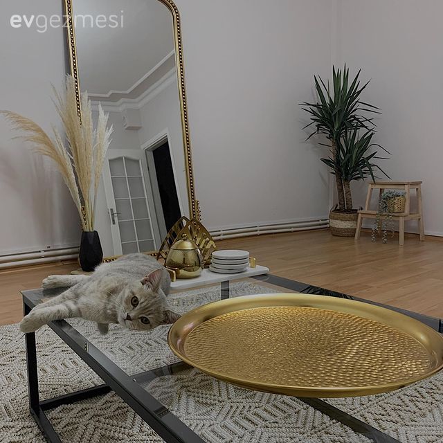 Salon, Altın, Boy aynası, Ayna, Ev bitkisi, Cam orta sehpa, Orta sehpa, Altın tepsi, Dekoratif Objeler, Halı, Salon halısı