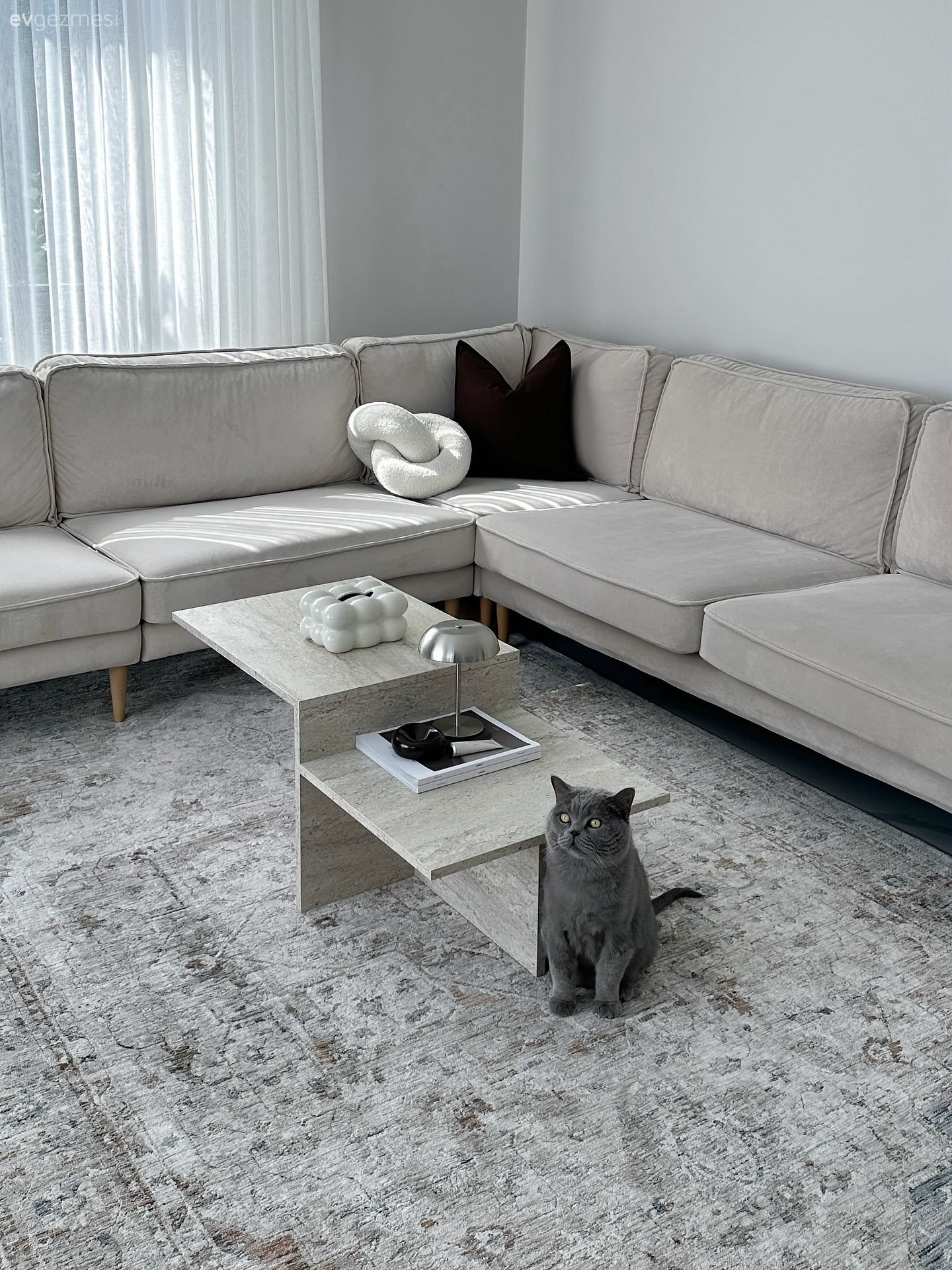 Salon, Modern, İskandinav, Bej, Krem, Gri, Beyaz, Köşe koltuk, Koltuk takımı, Tül perde, Perde, Halı, Orta sehpa, Sehpa, Avize, Aydınlatma, Salon avizesi, Salon halısı