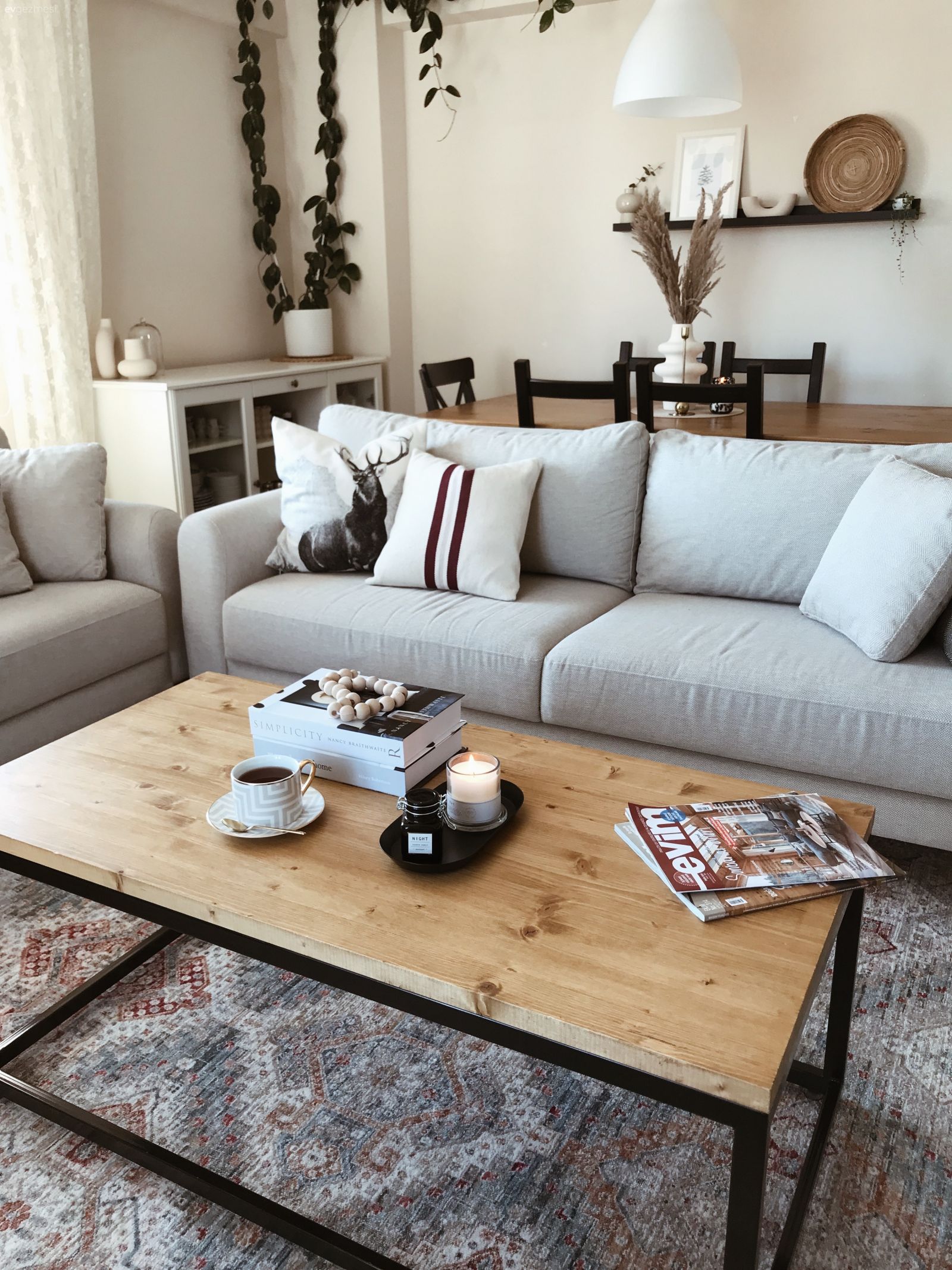 Salon, Modern, Bohem Dekorasyon, Gri, Beyaz, Bej, Koltuk takımı, Orta sehpa, Sehpa, Halı, Berjer, Sandalye, Yemek masası, Duvar rafı, Duvar dekorasyonu, Sarmaşık, Kırlent, Ev tekstili