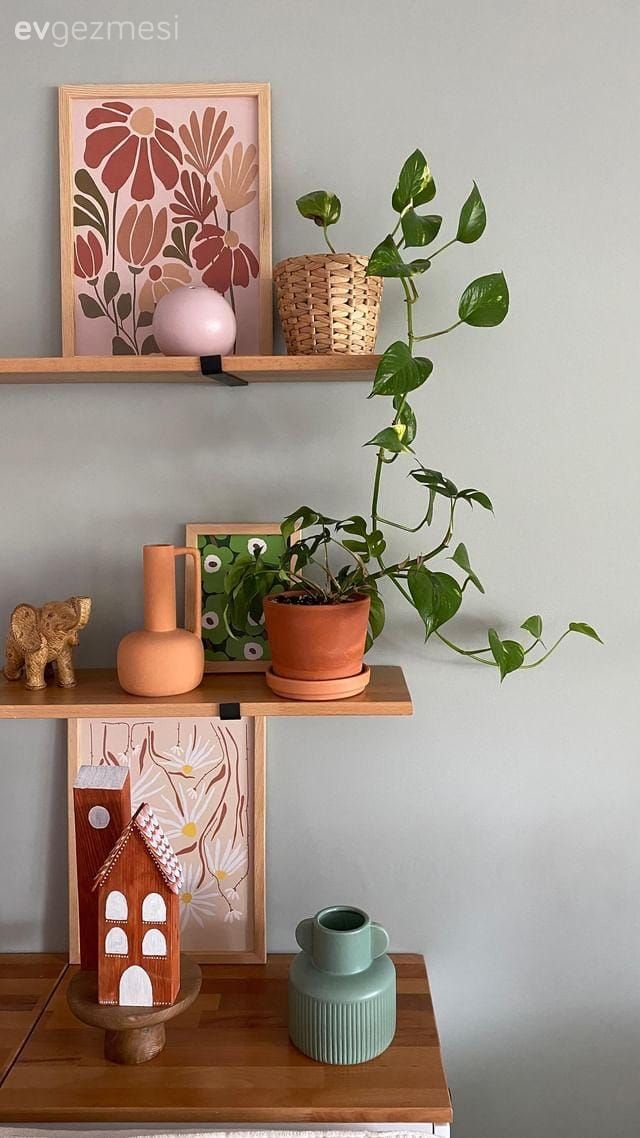 Duvar rafı, Duvar dekorasyonu, Saksı, Yeşil duvar