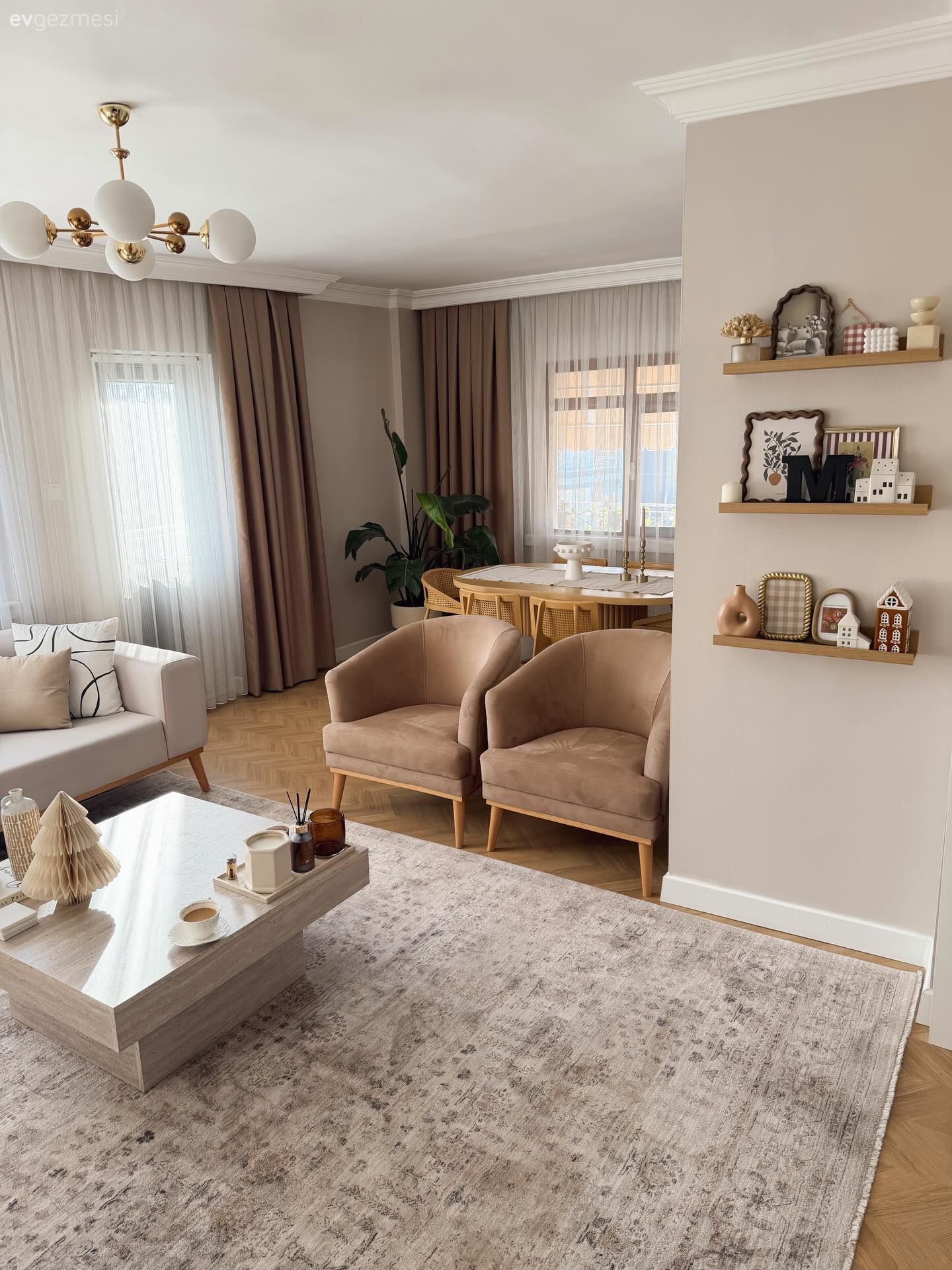 Salon, Krem, Bej, Beyaz, Vizon, Koltuk takımı, Berjer, Kahverengi, Fon perde, Perde, Tül perde, Ev bitkisi, Yemek masası, Halı, Salon halısı, Orta sehpa, Sehpa, Avize, Aydınlatma, Dekoratif Objeler, Duvar rafı, Duvar dekorasyonu