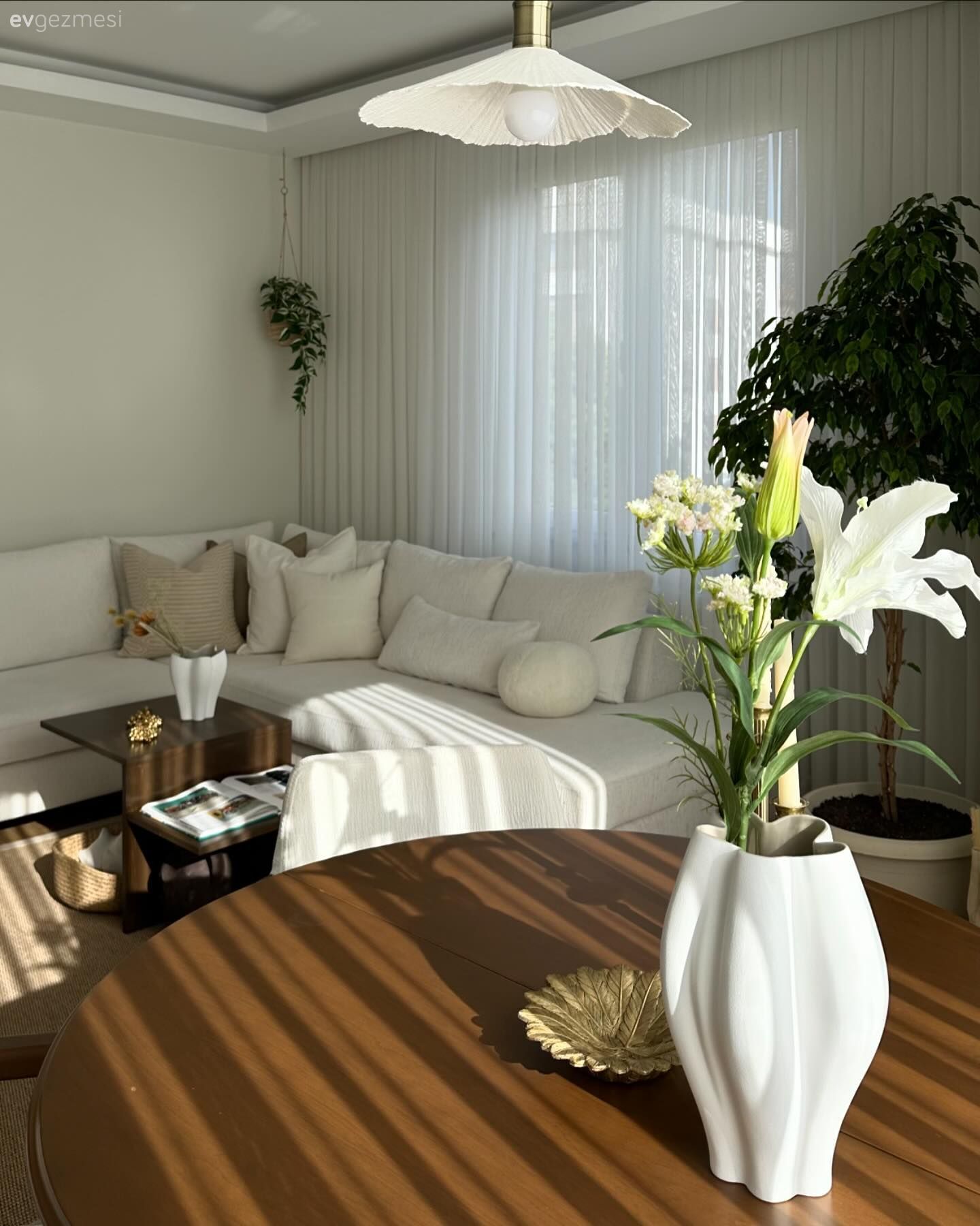 Salon, Ev bitkisi, Köşe koltuk, Koltuk takımı, İskandinav, Tül perde, Perde, Avize, Aydınlatma, Salon avizesi, Orta sehpa, Sehpa, Kırlent, Ev tekstili