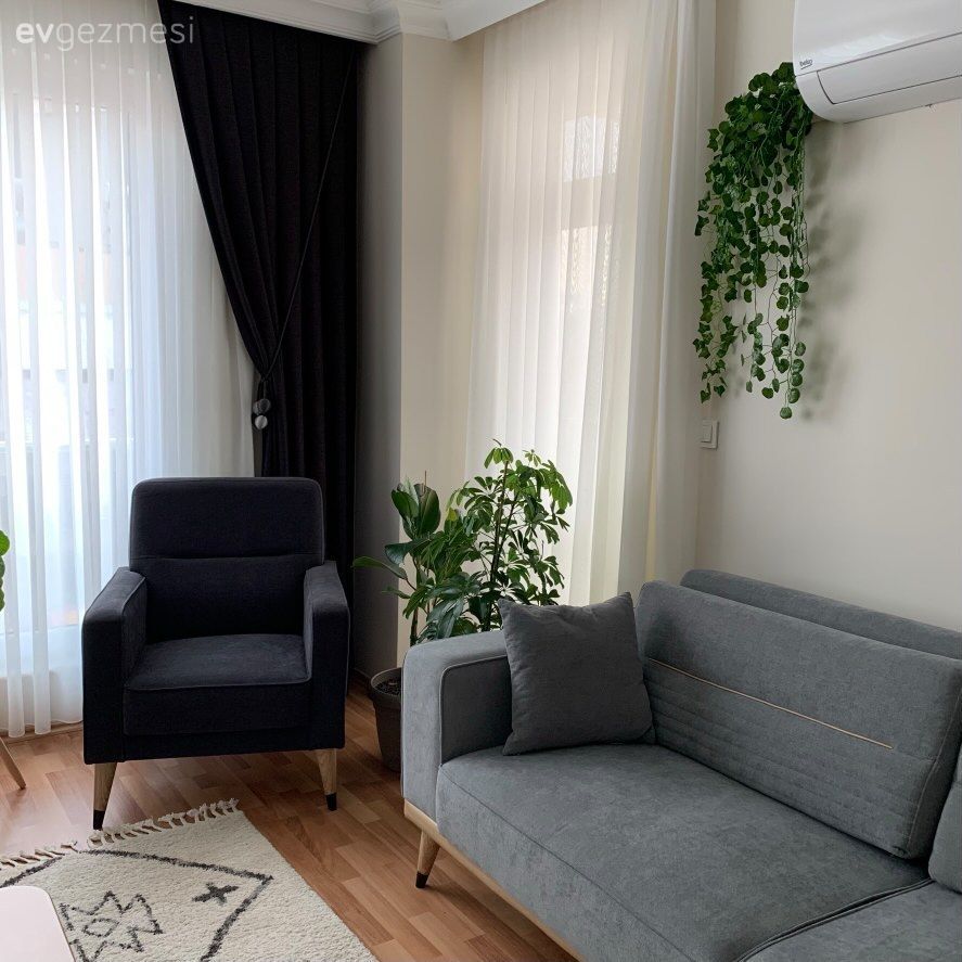 Salon, Modern, Koltuk takımı, Gri, Beyaz, Krem, Fon perde, Perde, Ev bitkisi, Saksı, Geometrik desen, Desenler, Orta sehpa, Sehpa, Parke, Halı, Salon halısı