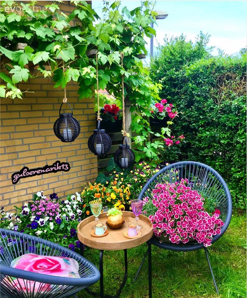 Cennetten Bir Köşe: Gülseren Hanım'ın Rengarenk Bahçesi!