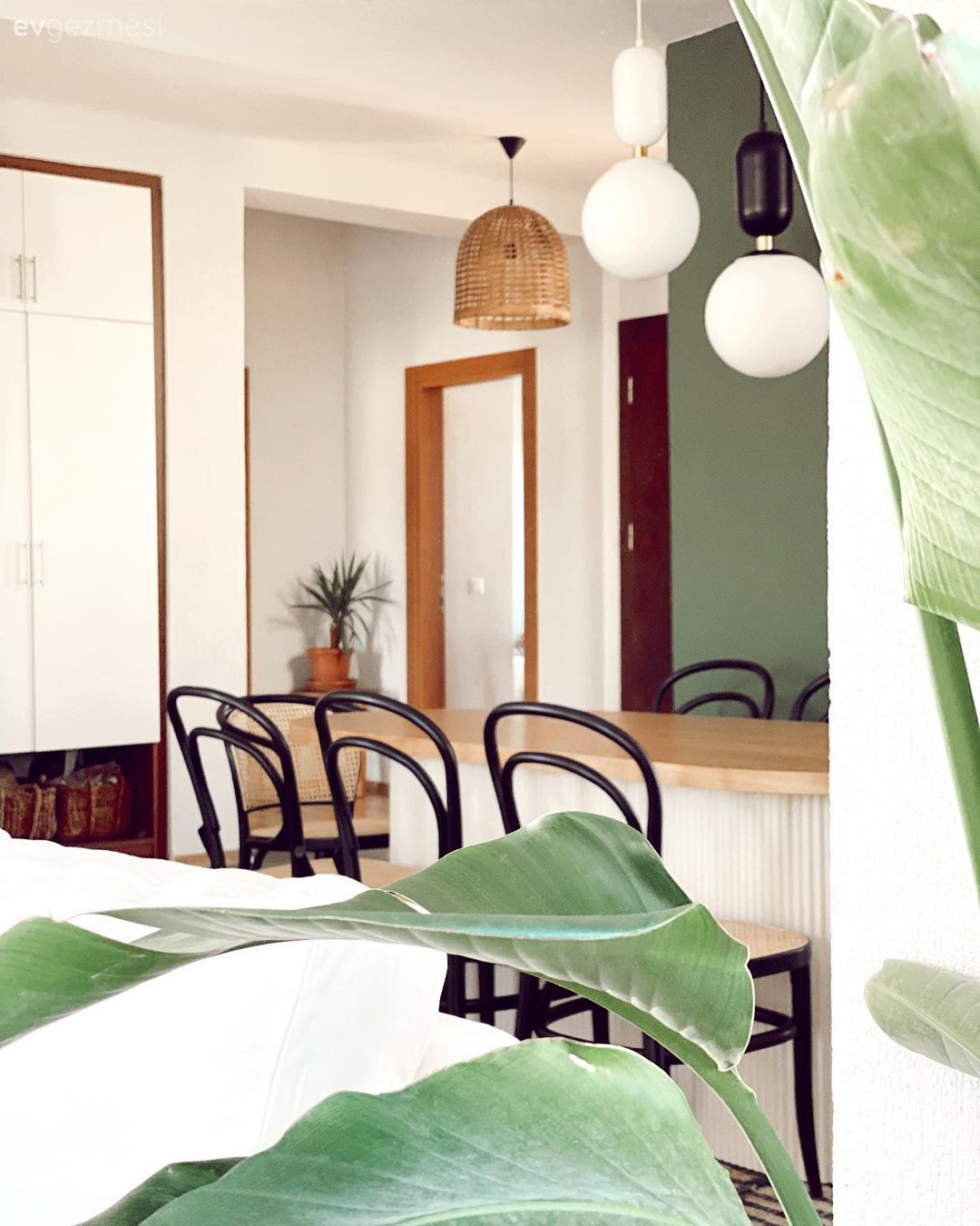 Hasır avize, İskandinav, Bohem Dekorasyon, Avize, Aydınlatma, Ev bitkisi, Yemek masası, Yeşil duvar