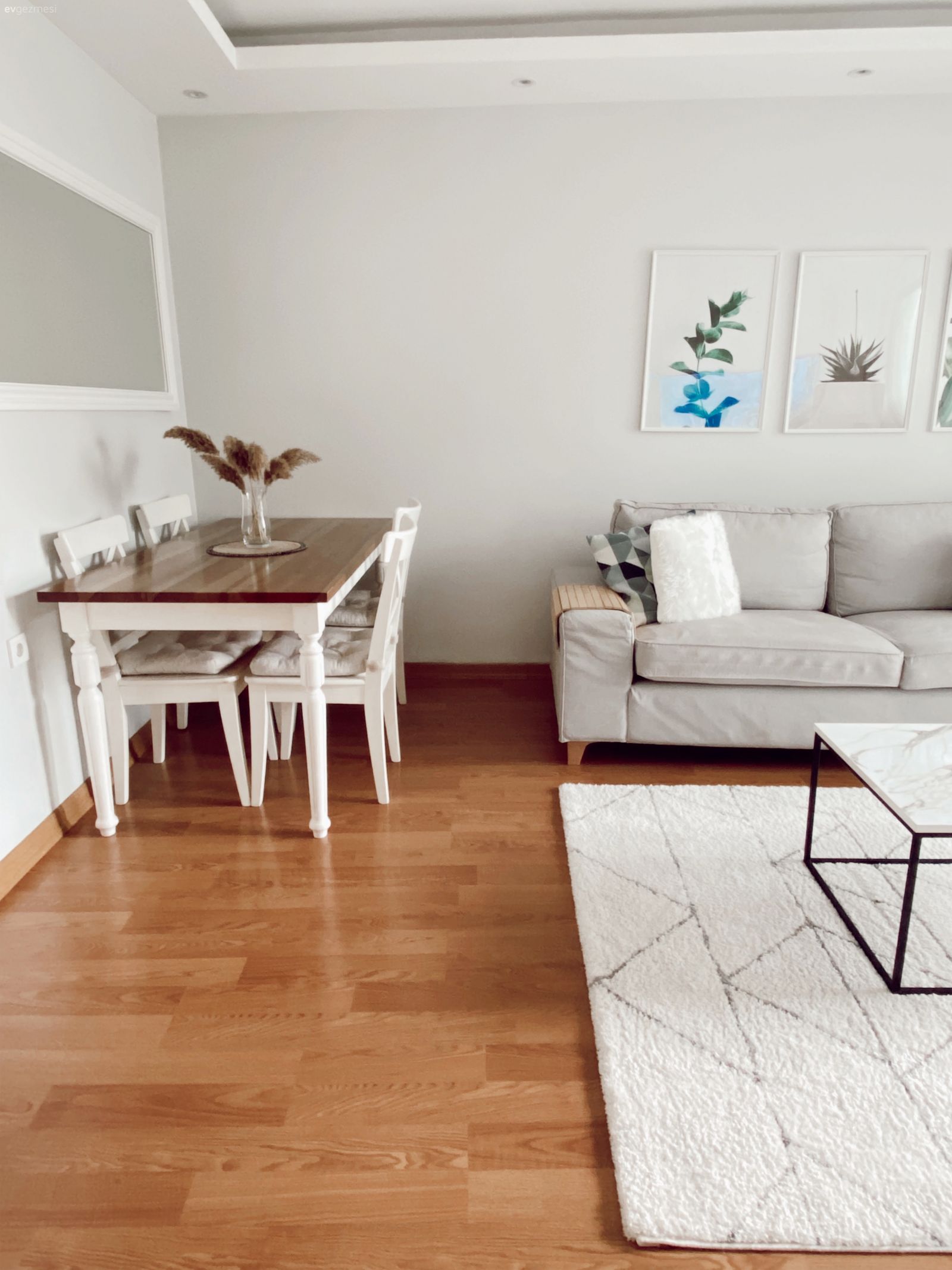 Salon, Koltuk takımı, Kırlent, Ev tekstili, Ev bitkisi, Orta sehpa, Sehpa, Halı, Salon halısı, Bej, Beyaz, Krem, Parke, Sandalye, Yemek masası, Ayna, Tablo, Duvar dekorasyonu