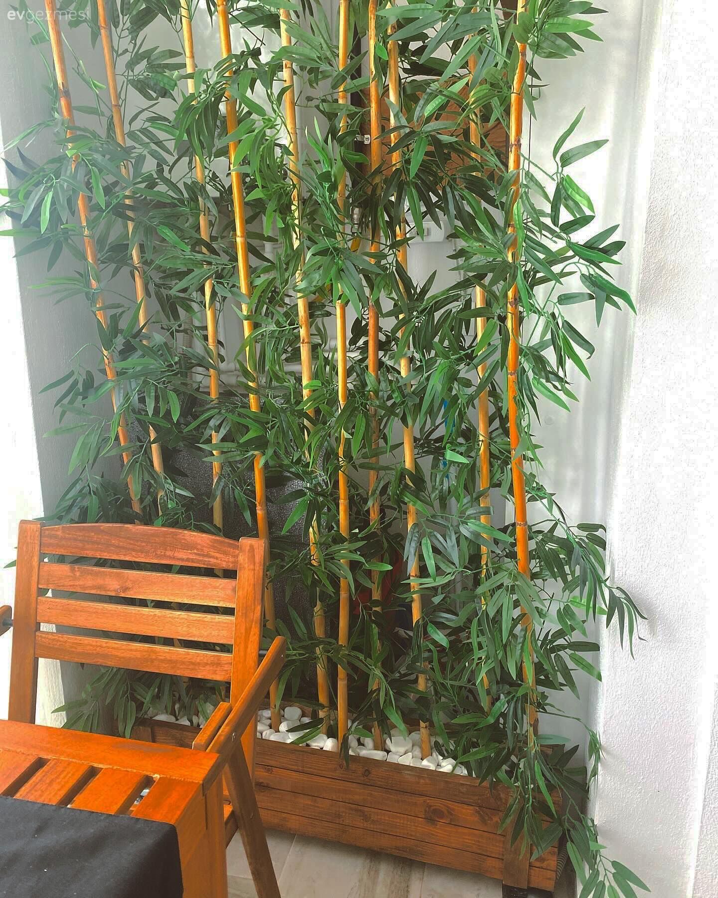 Balkon, Balkon masası, Sandalye, Tül perde, Perde, Ev bitkisi