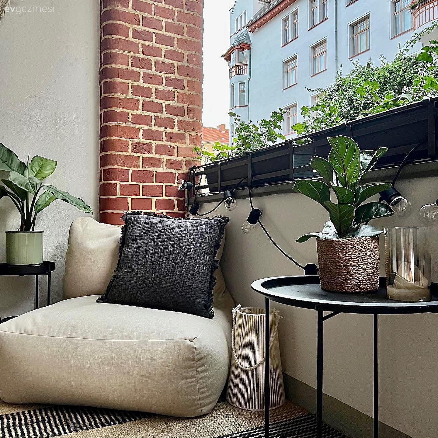 Balkon, Krem, Siyah, Ev bitkisi