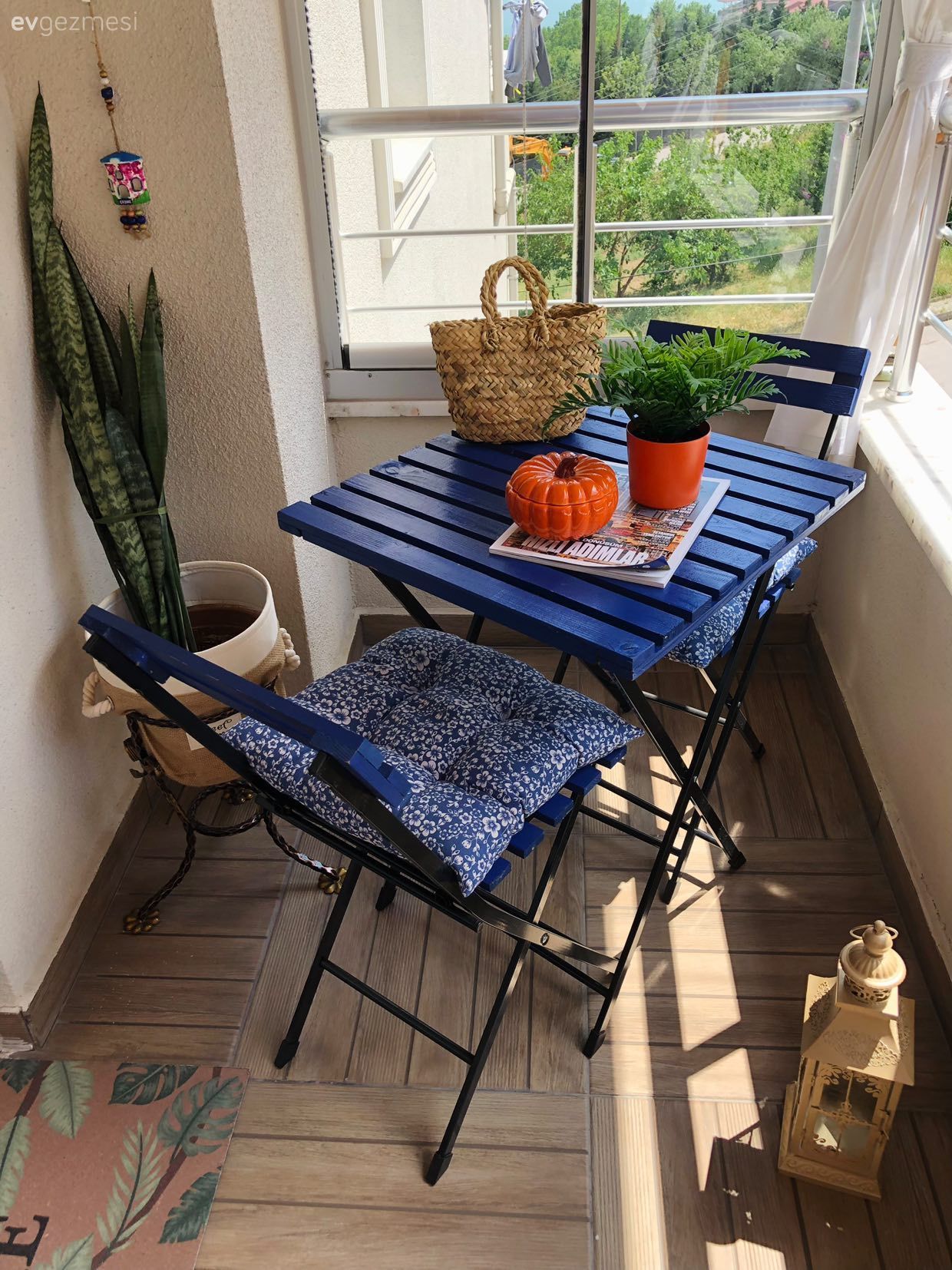 Sandalye, Mavi, Balkon masası, Ev bitkisi, Saksı