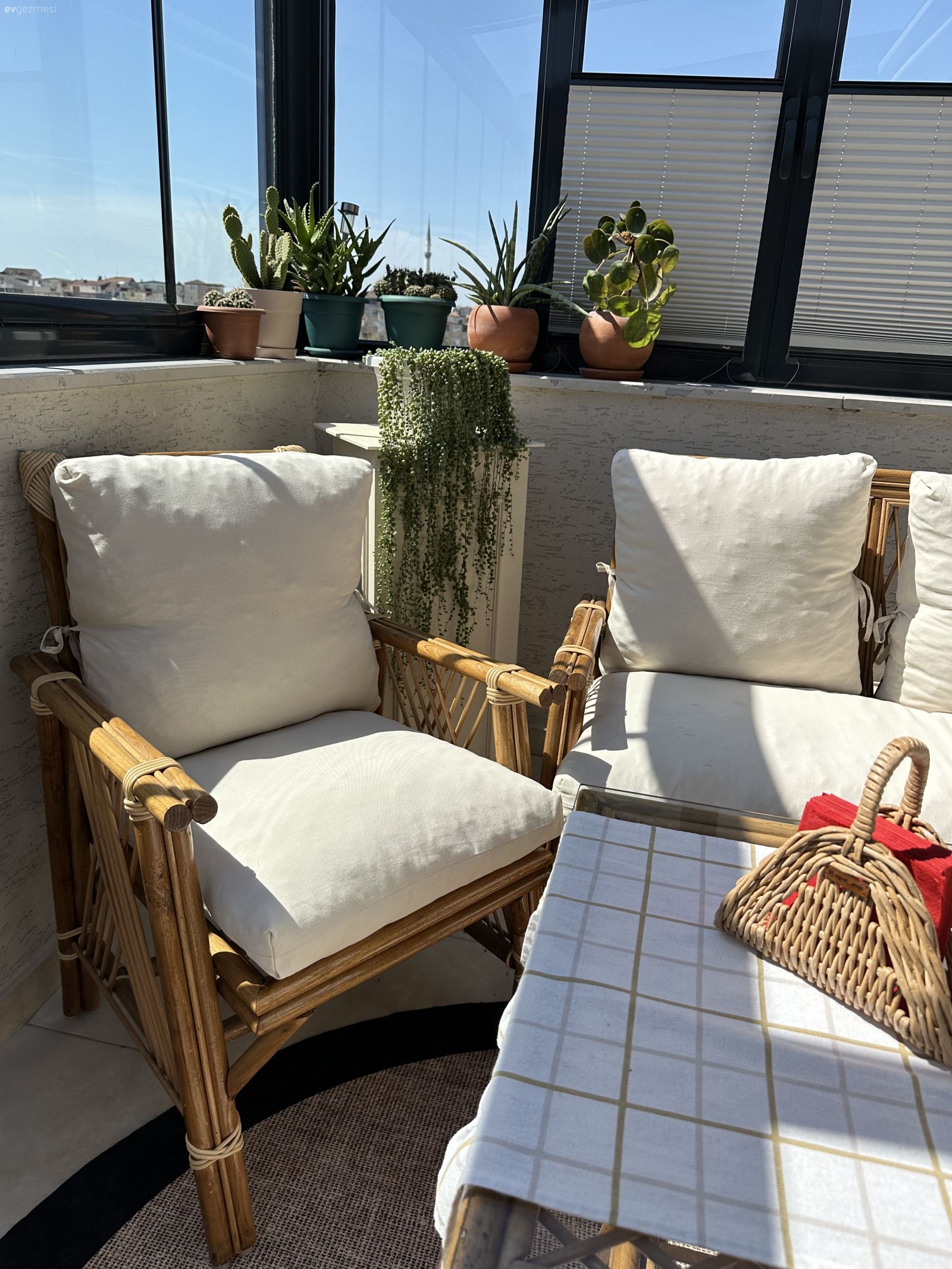 Kapalı balkon, Beyaz, Ahşap Mobilya, Ev bitkisi