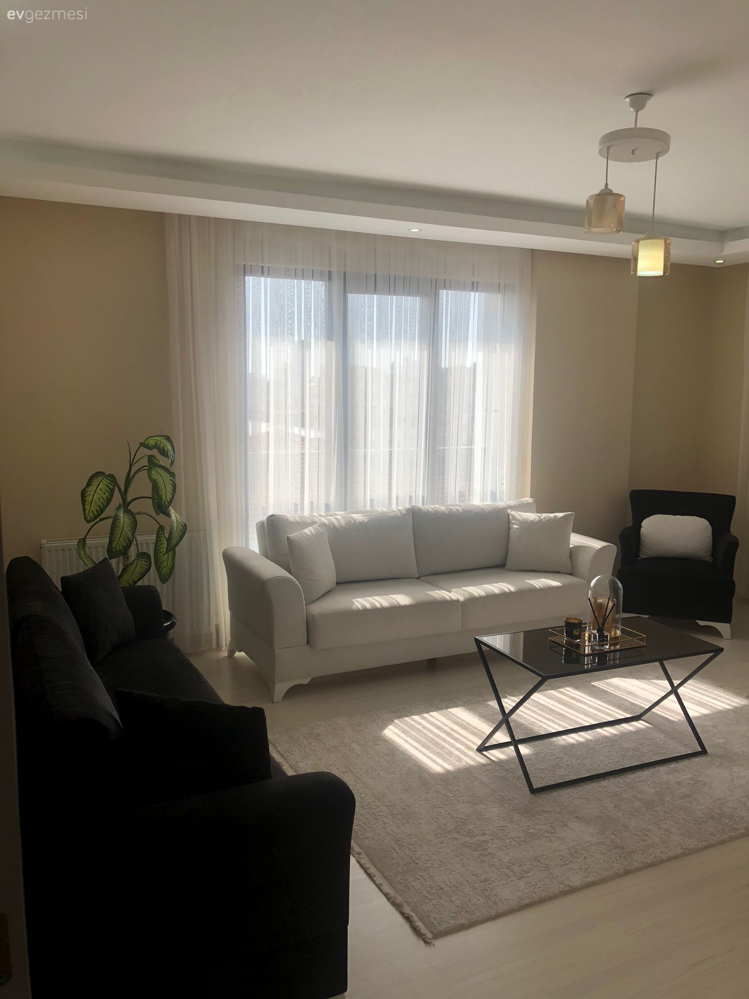 Salon, Beyaz, Siyah, Orta sehpa, Sehpa, Berjer, Halı