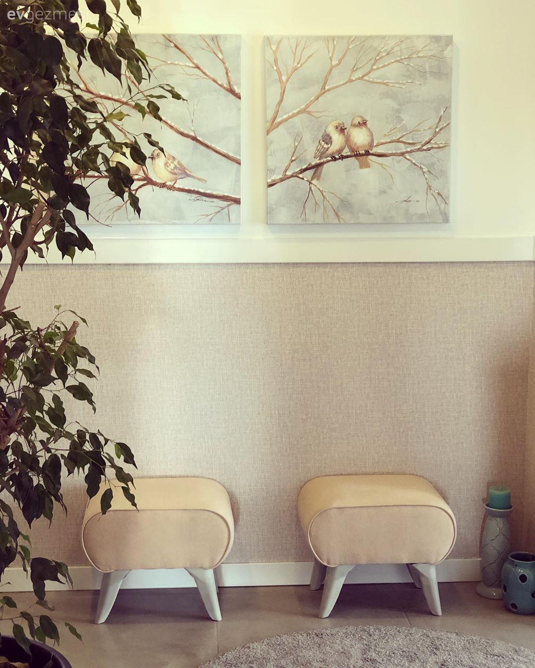 Bej, Beyaz, Puf, Tablo, Duvar dekorasyonu, Yuvarlak halı, Halı, Ev bitkisi