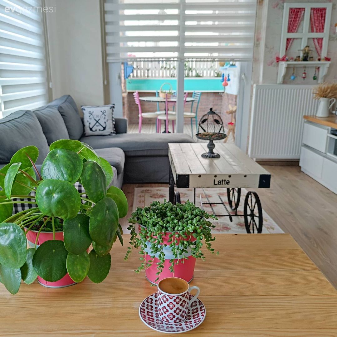 Mutfak, Country, Gri, Beyaz, Zebra Perde, Perde, Orta sehpa, Sehpa, Ev bitkisi, Mutfak aksesuarları, Ekstra mutfak dolabı, Saksı