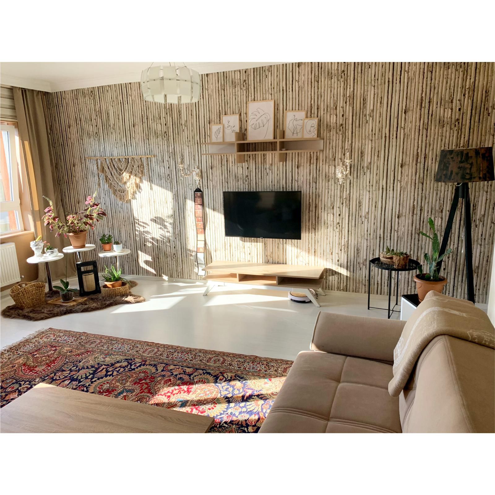 Salon, Bohem Dekorasyon, Krem, Kahverengi, Vizon, Beyaz, Siyah, Duvar kağıdı, Duvar dekorasyonu, Çiçeklik, Saksı, Lambader, Aydınlatma, Kırmızı, Halı, Salon halısı, Köşe koltuk, Koltuk takımı