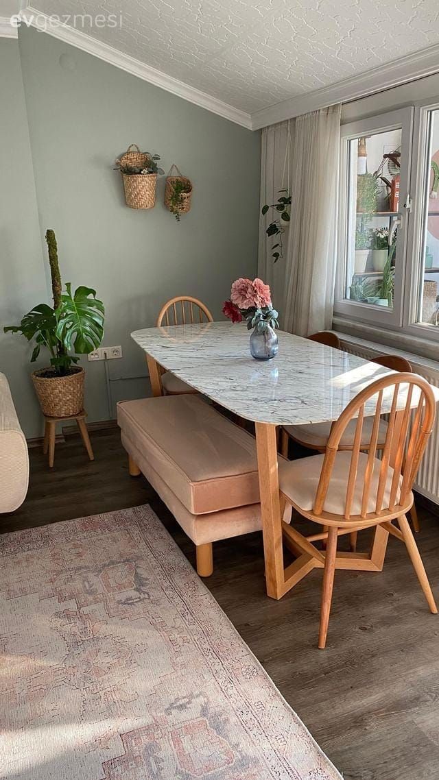 Yeşil duvar, Ahşap Mobilya, Sandalye, Yemek masası, Halı, Salon halısı, Saksı, Ev bitkisi