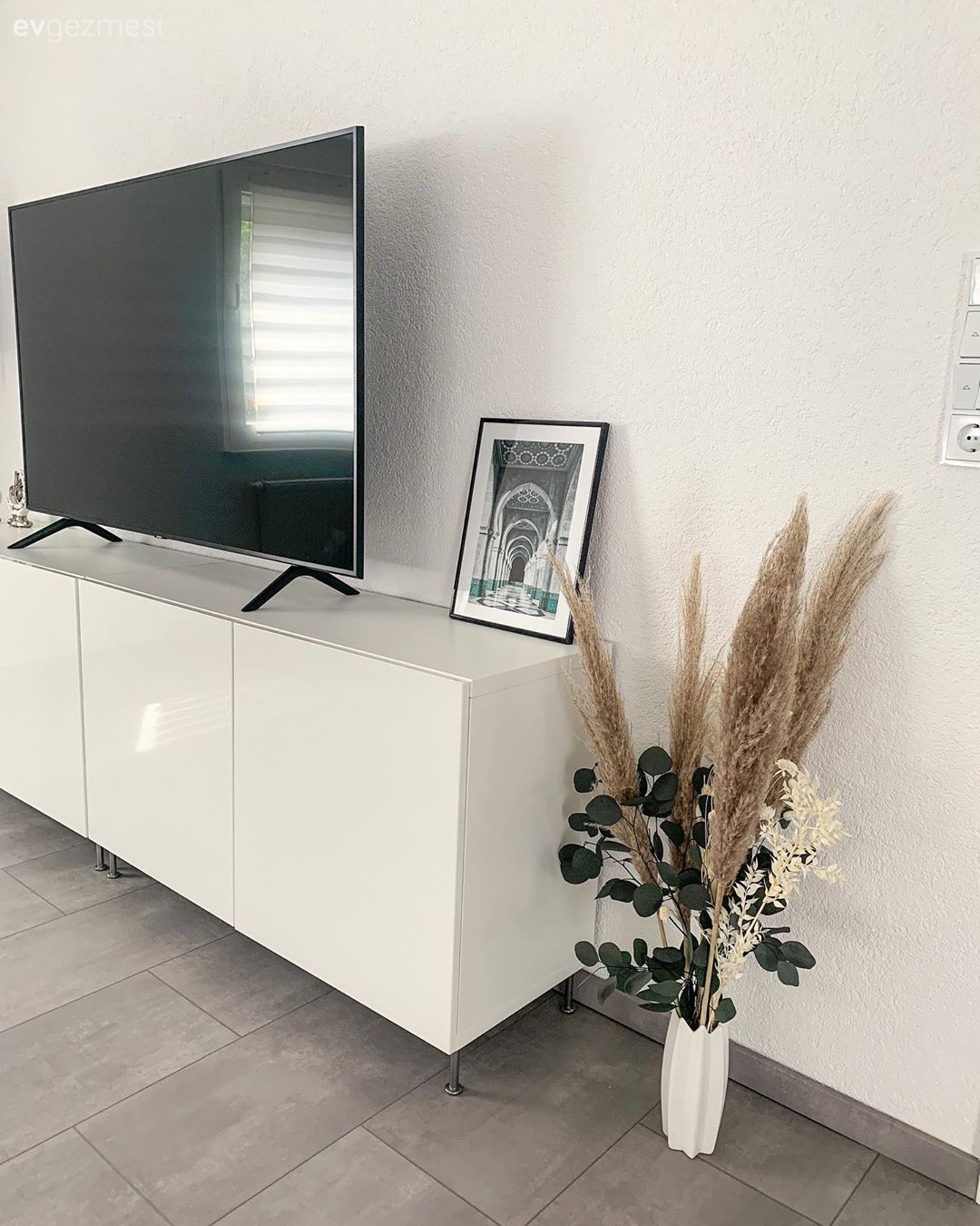 Vazo, Ev Aksesuar, Tv ünitesi, Çerçeve, Pampas otu, Modern