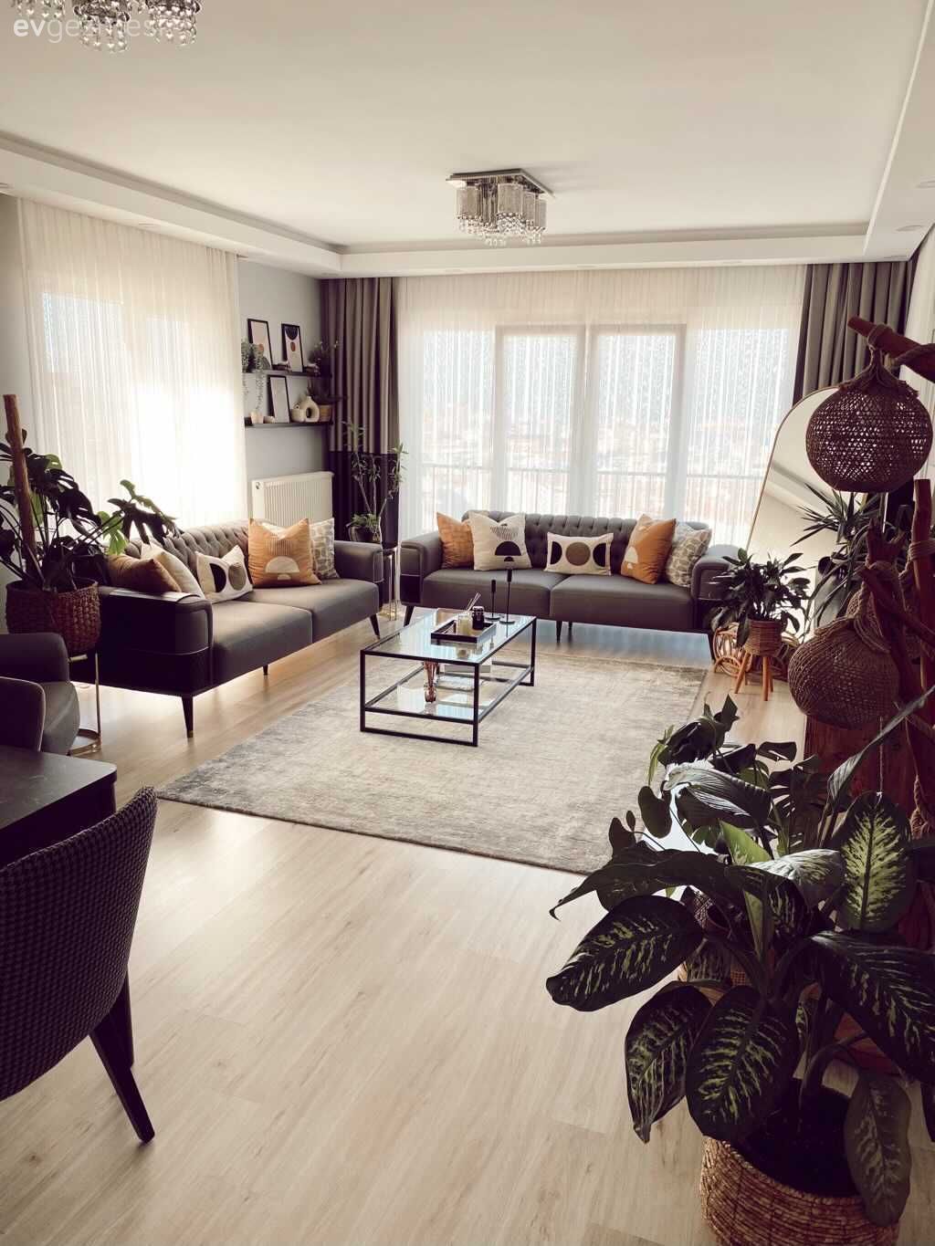 Salon, Modern, Gri, Antrasit  , Bej, Beyaz, Füme, Fon perde, Perde, Tül perde, Koltuk takımı, Kırlent, Ev tekstili, Orta sehpa, Sehpa, Halı, Salon halısı, Duvar rafı, Duvar dekorasyonu, Parke, Berjer, Ev bitkisi