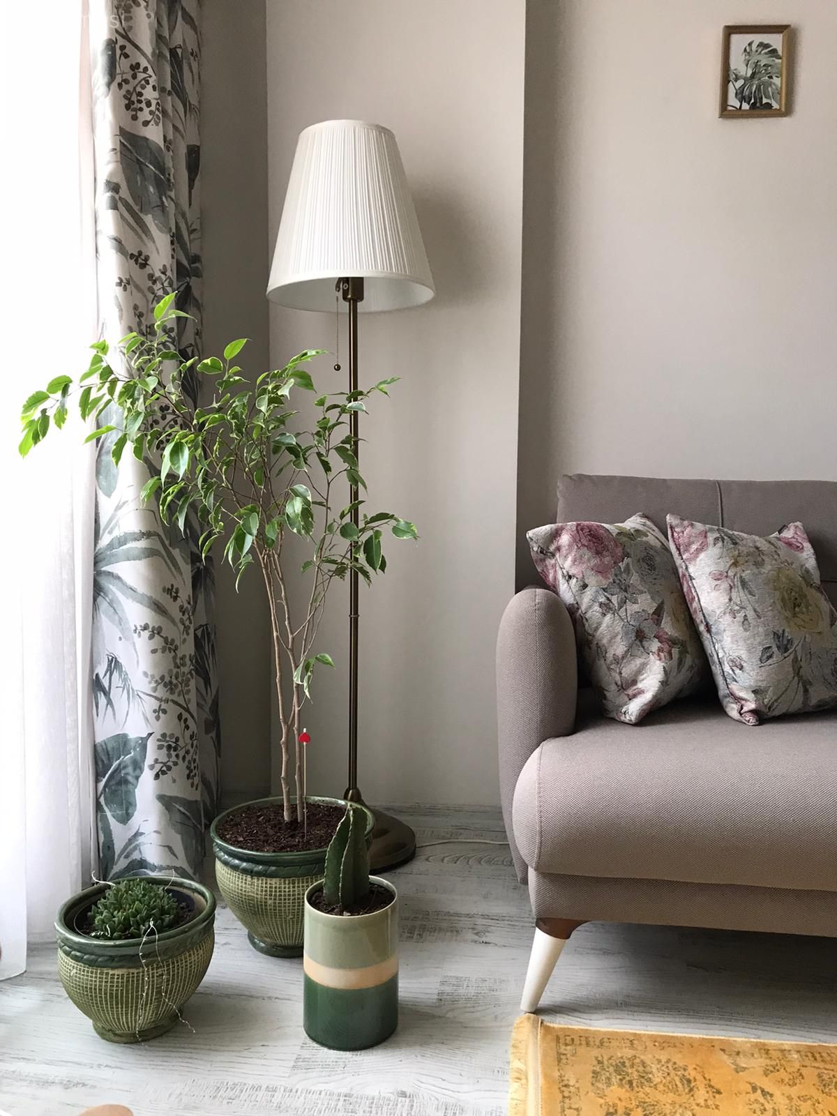 Gri, Koltuk takımı, Vizon, Hardal, Beyaz, Lambader, Aydınlatma, Saksı, Desenler, Ev bitkisi, Fon perde, Perde