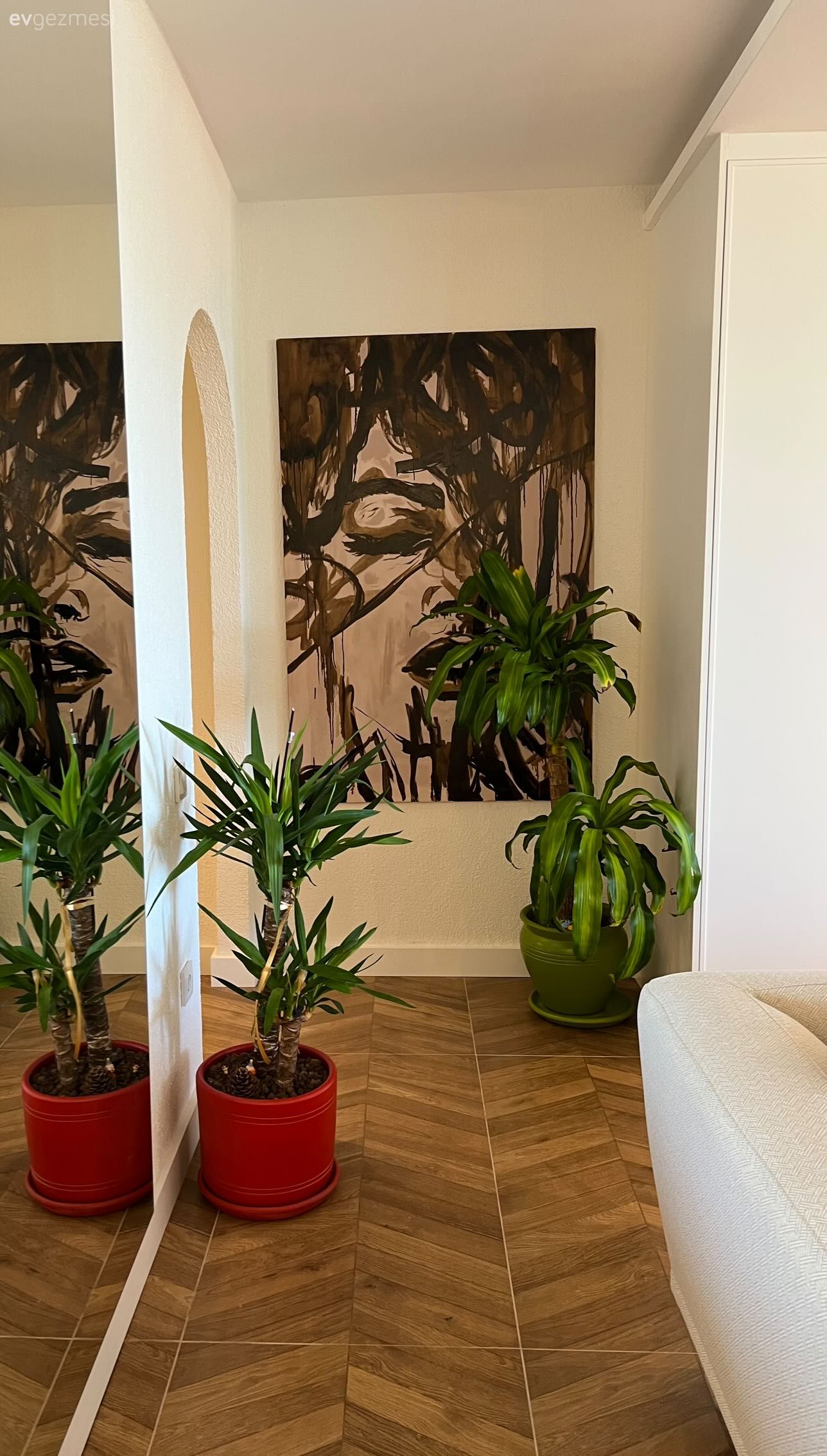 Antre, Parke, Tablo, Duvar dekorasyonu, Saksı, Ev bitkisi, Siyah, Beyaz, Kırmızı, Duvar ayna kaplama, Ayna