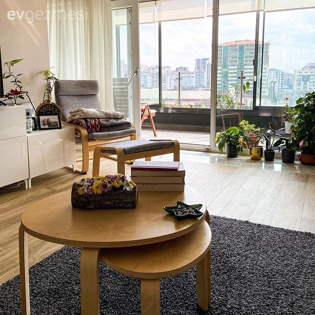 Beyaz, Gri, Kahverengi, Ahşap Mobilya, Yuvarlak sehpa, Sehpa, Berjer, Ev bitkisi, Halı, Salon halısı