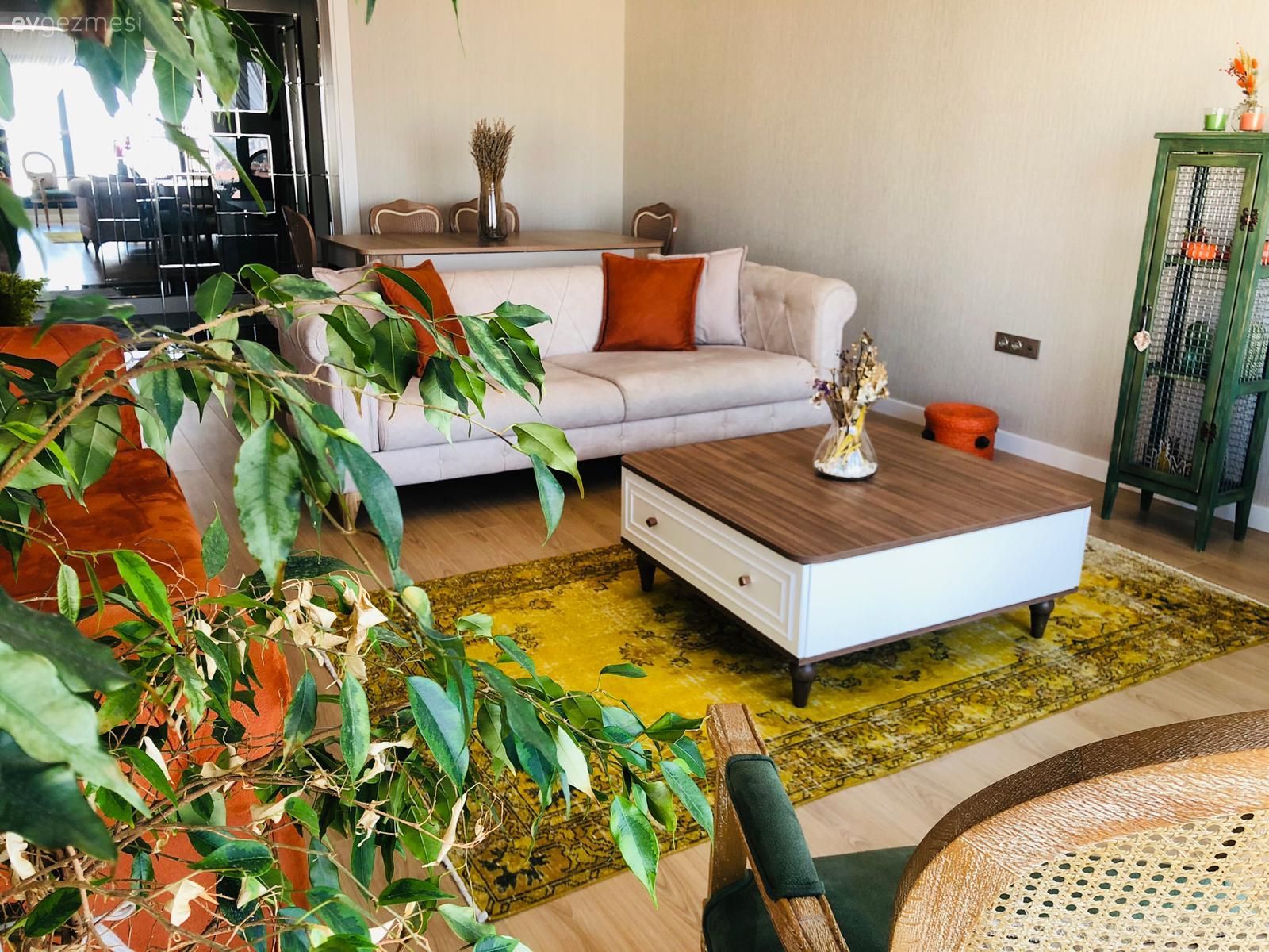 Salon, Beyaz, Bej, Turuncu, Sarı, Koltuk takımı, Orta sehpa, Sehpa, Halı, Vitrin, Ev bitkisi, Krem duvar