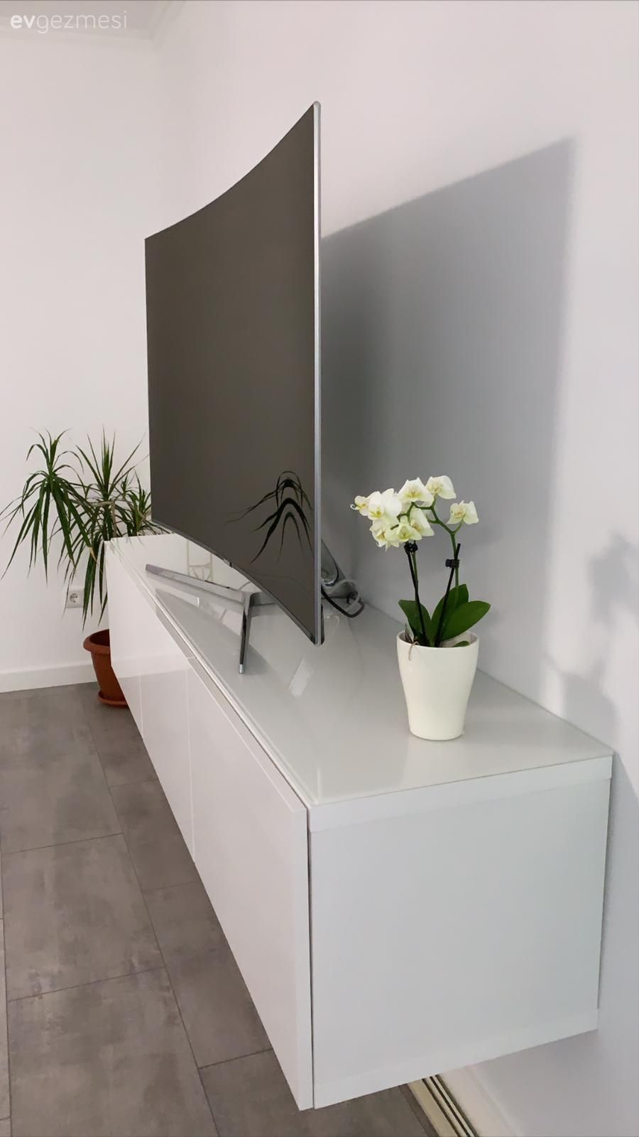 Tv ünitesi, Tv ünitesi aksesuarları, Ev Aksesuar, Saksı, Ev bitkisi