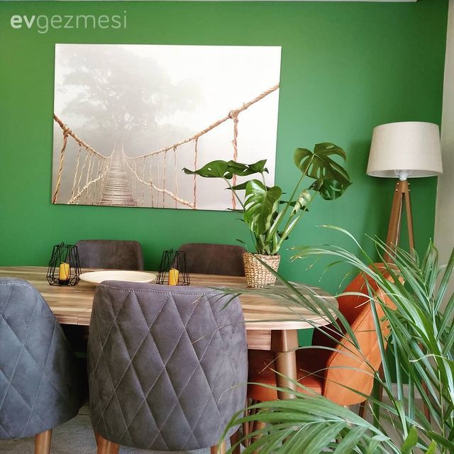 Gri, Turuncu, Beyaz, Yeşil duvar, Duvar rafı, Duvar dekorasyonu, Kırlent, Ev tekstili, Tablo, Ev bitkisi, Sandalye, Yemek masası