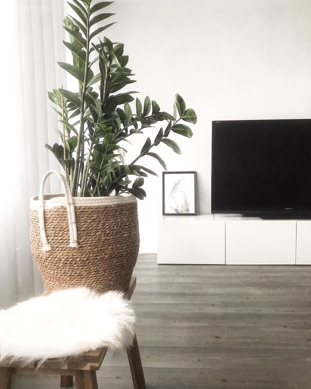 Salon, Beyaz, Tv ünitesi, Saksı, Hasır vazo, Ev bitkisi, Peluş, Çerçeve, Tül perde, Perde, Parke