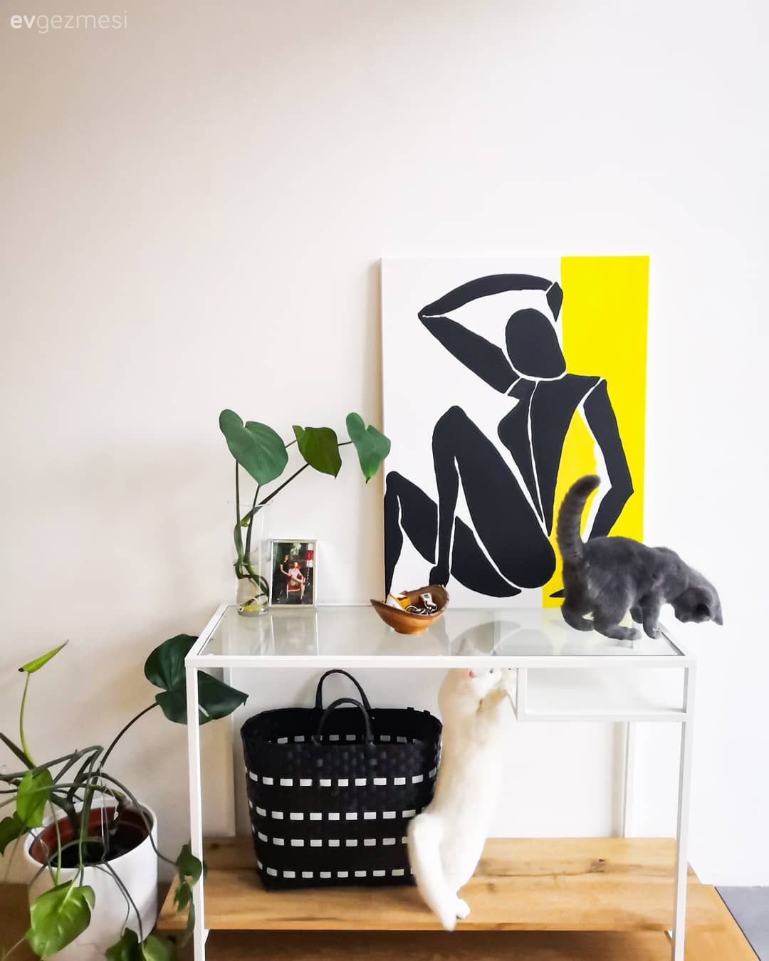 Dresuar, Tablo, Duvar dekorasyonu, Sarı, Siyah, Beyaz, Ev bitkisi