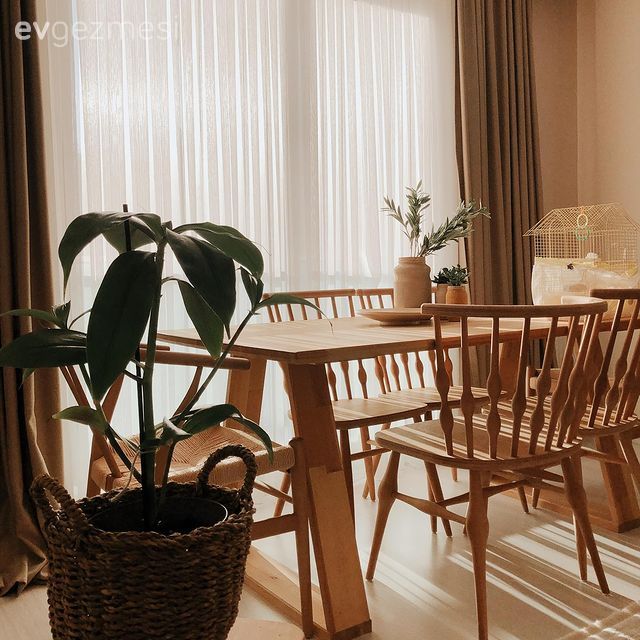 Ahşap Mobilya, Ev bitkisi, Saksı, Tül perde, Perde, Fon perde, Sandalye, Yemek masası