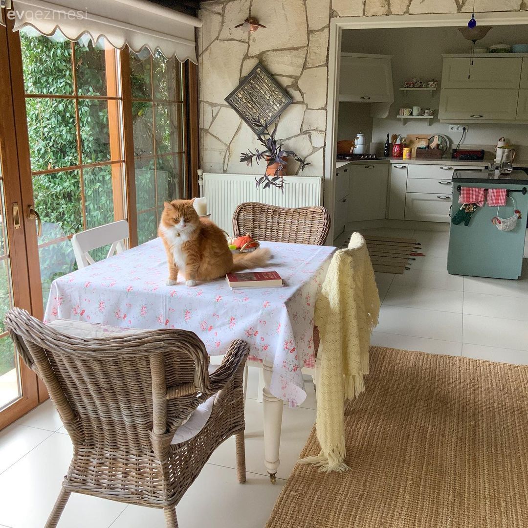 Kış bahçesi, Sandalye, Mutfak masası, Jüt halı, Halı, Duvar dekorasyonu, Perde, Ada mutfak, Mutfak, Yeşil, Beyaz