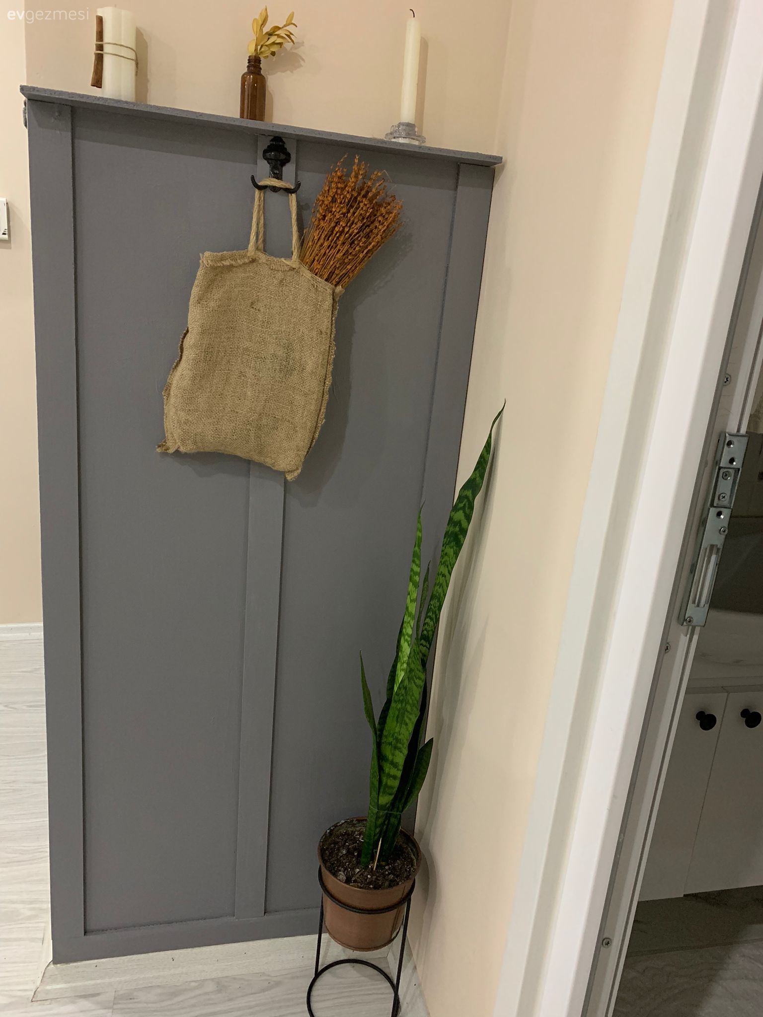 Antre, Gri, Beyaz, Çiçeklik, Ev bitkisi