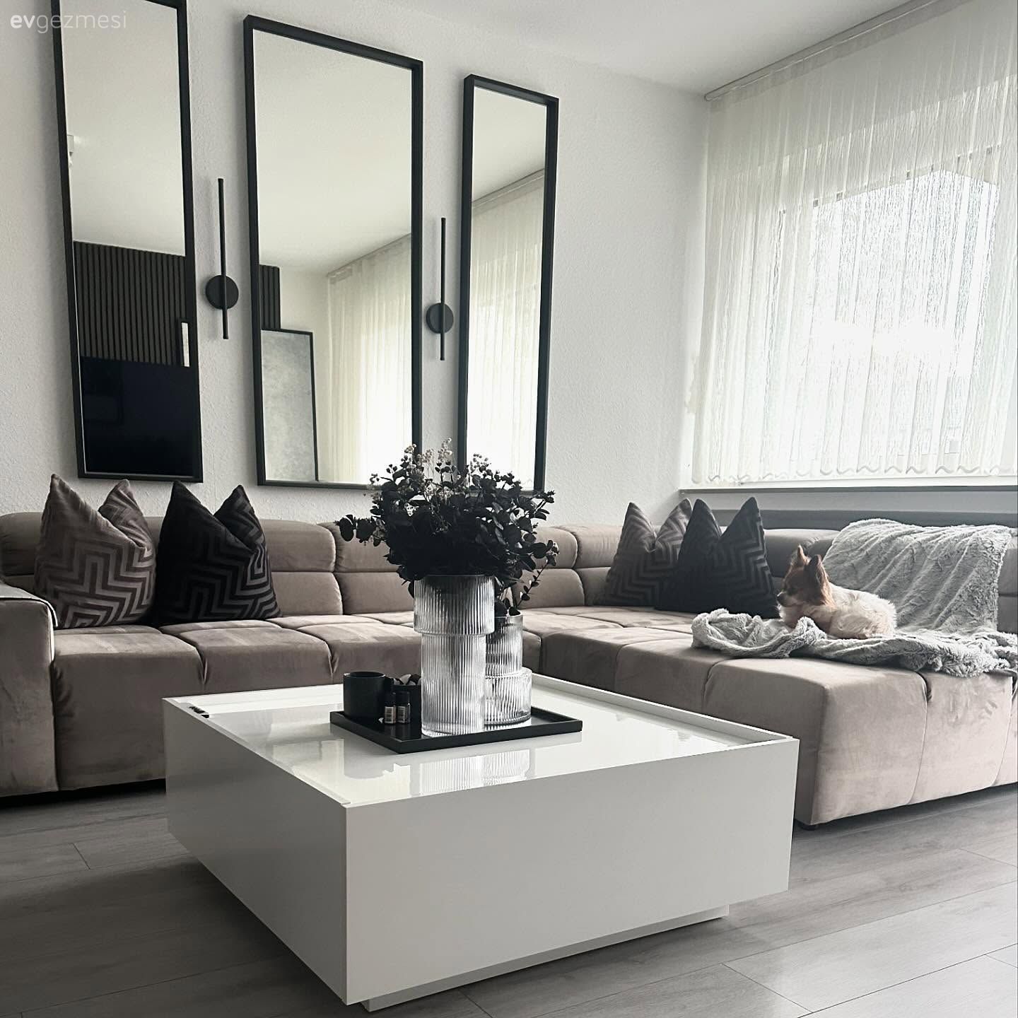 Bu Modern Evin Renkleri Gri, Siyah ve Beyaz