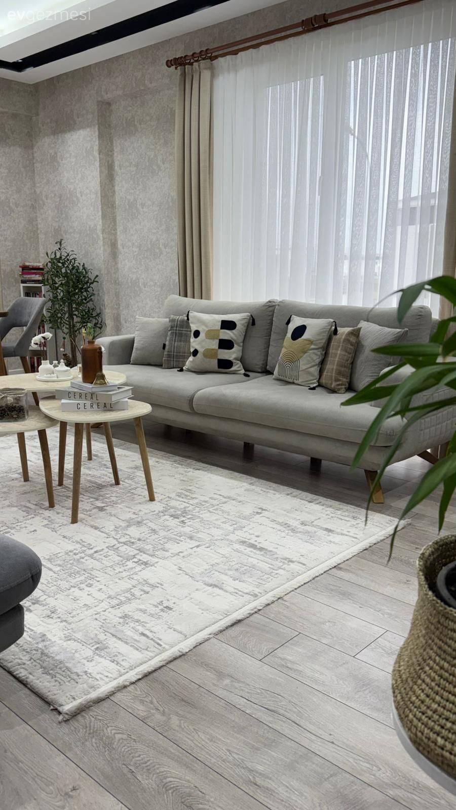 Salon, Modern, Gri, Bej, Krem, Koltuk takımı, Halı, Salon halısı, Fon perde, Perde, Tül perde, Orta sehpa, Sehpa, Kırlent, Ev tekstili, Parke, Ev bitkisi