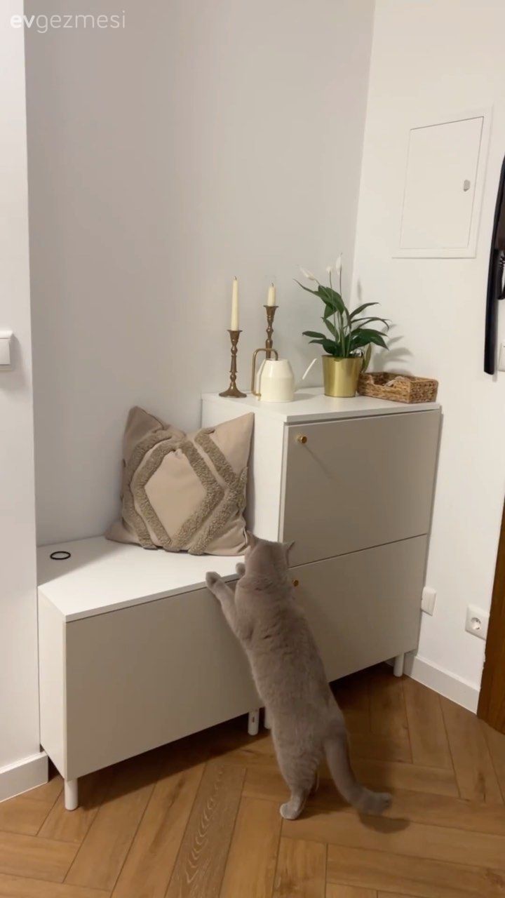 Antre, Beyaz, Dresuar, Puf